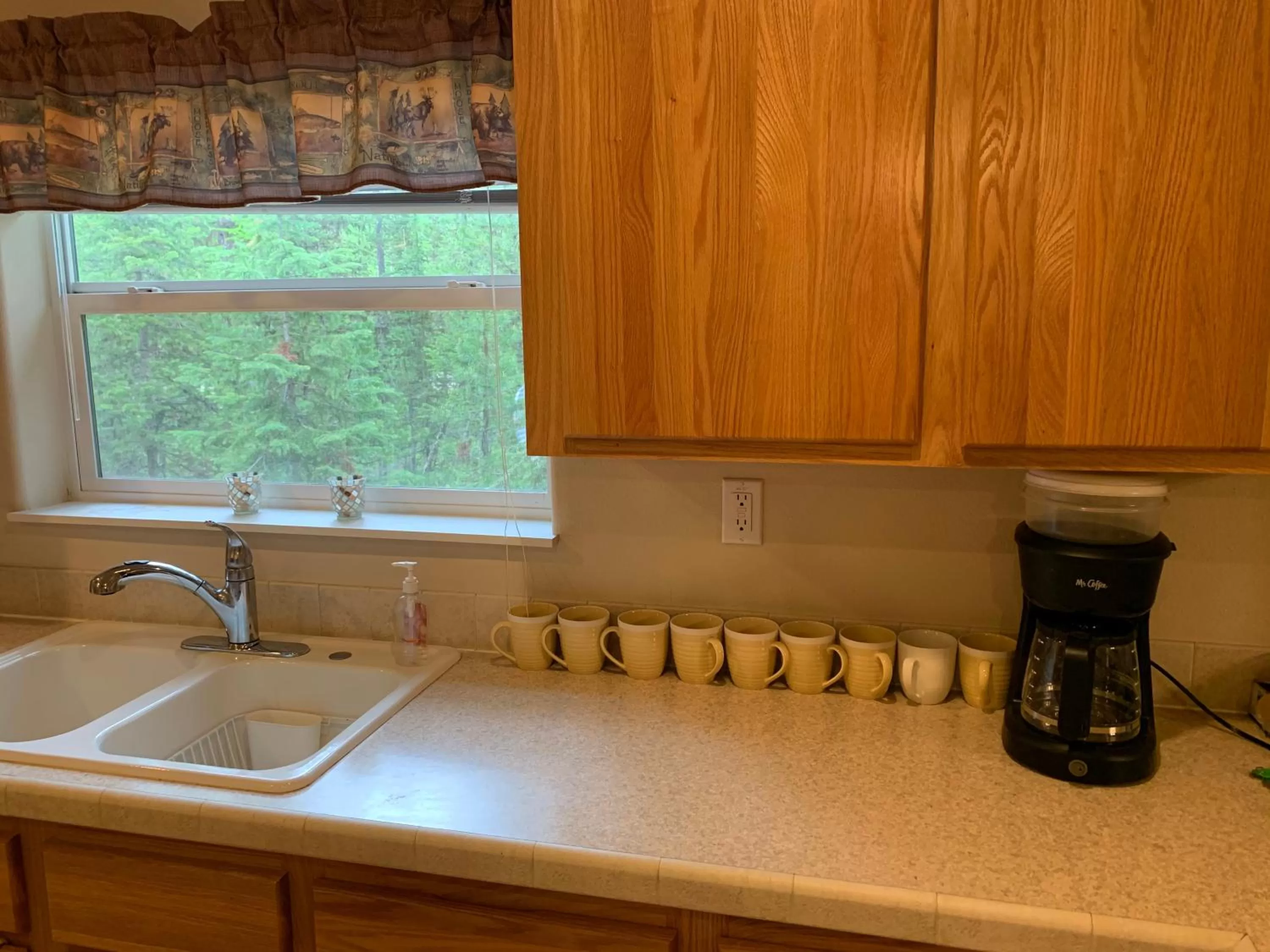 Coffee/tea facilities, Kitchen/Kitchenette in Glacier Haven Inn