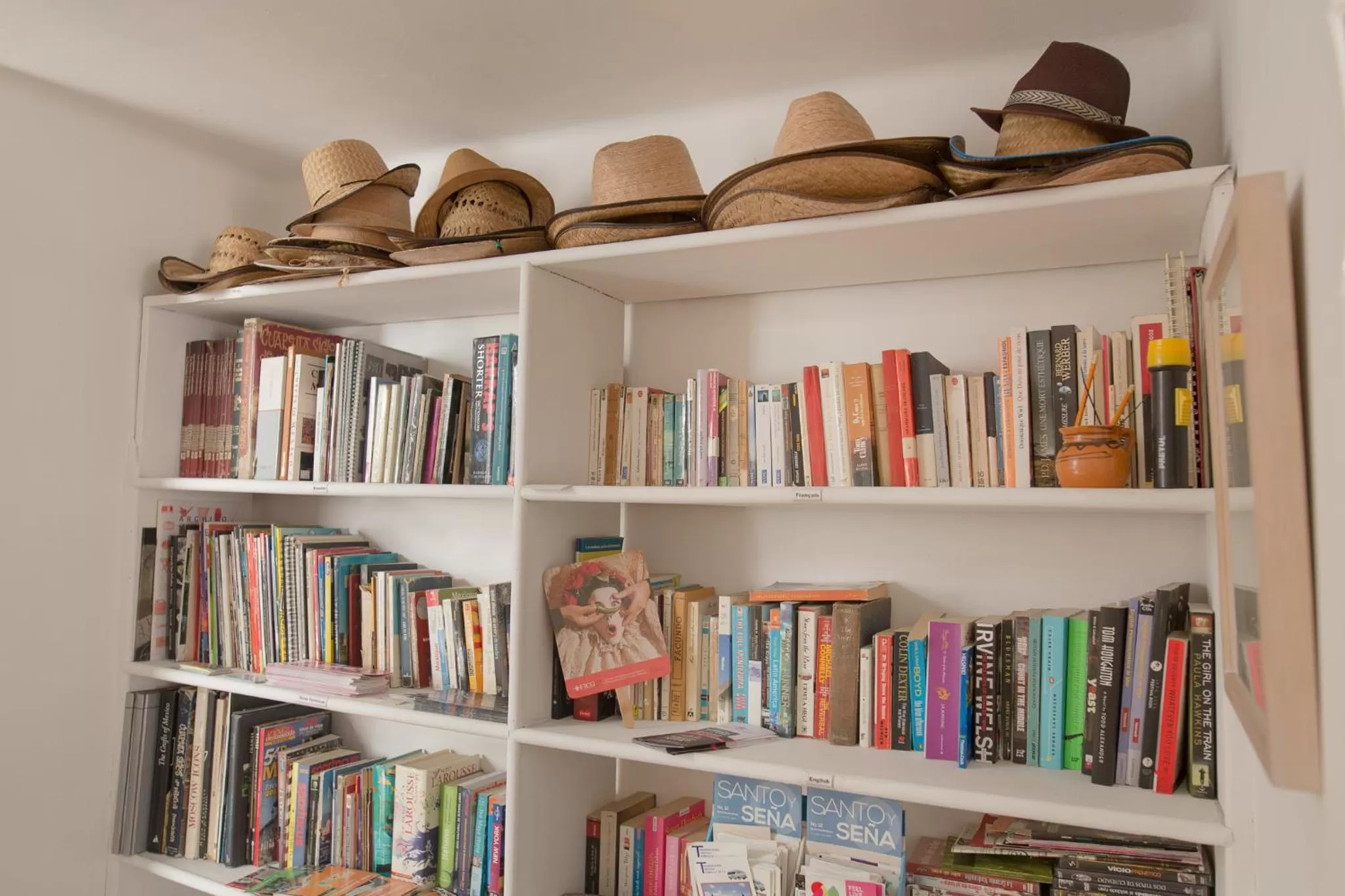 Library in Casa Comtesse