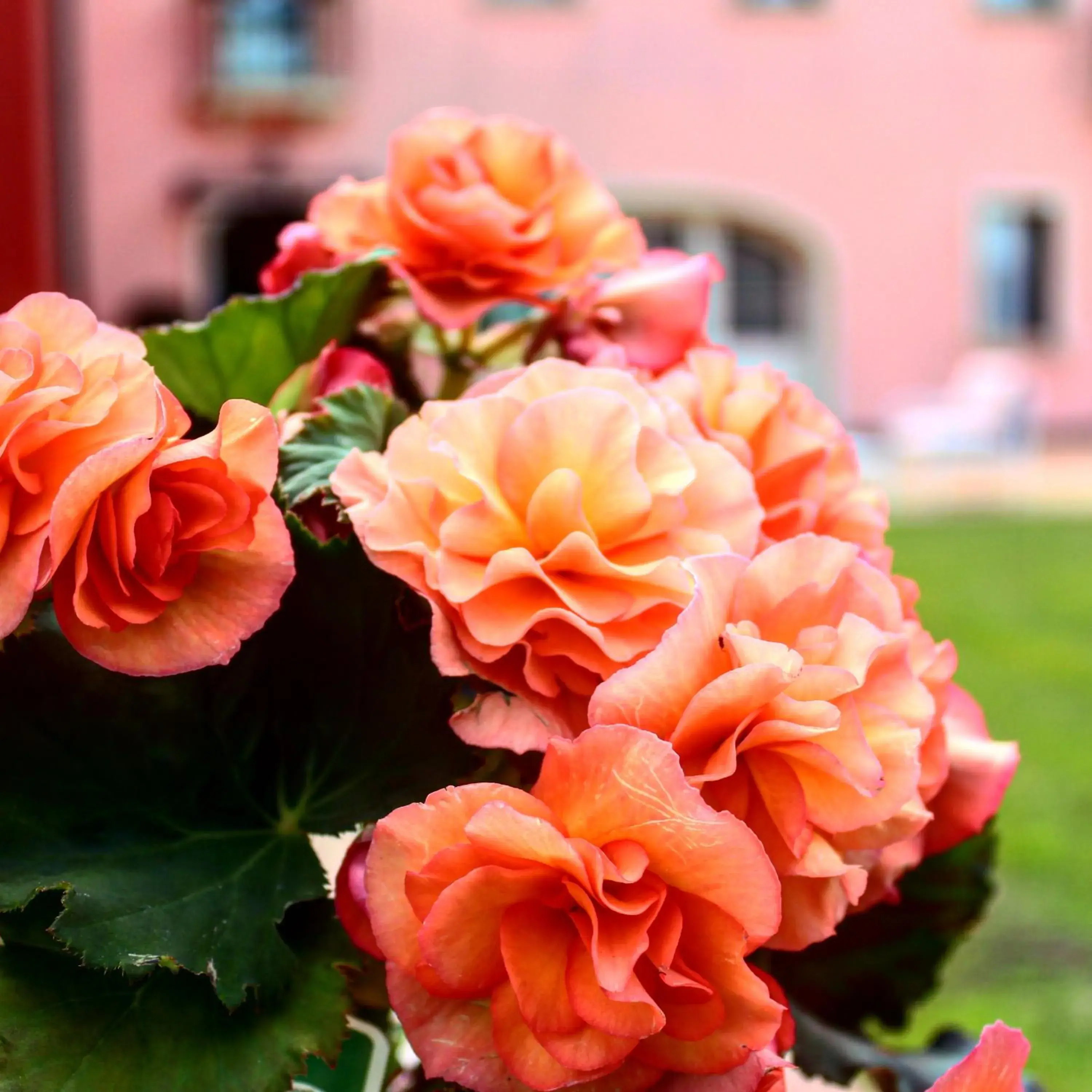 Garden in Cà Rocca Relais