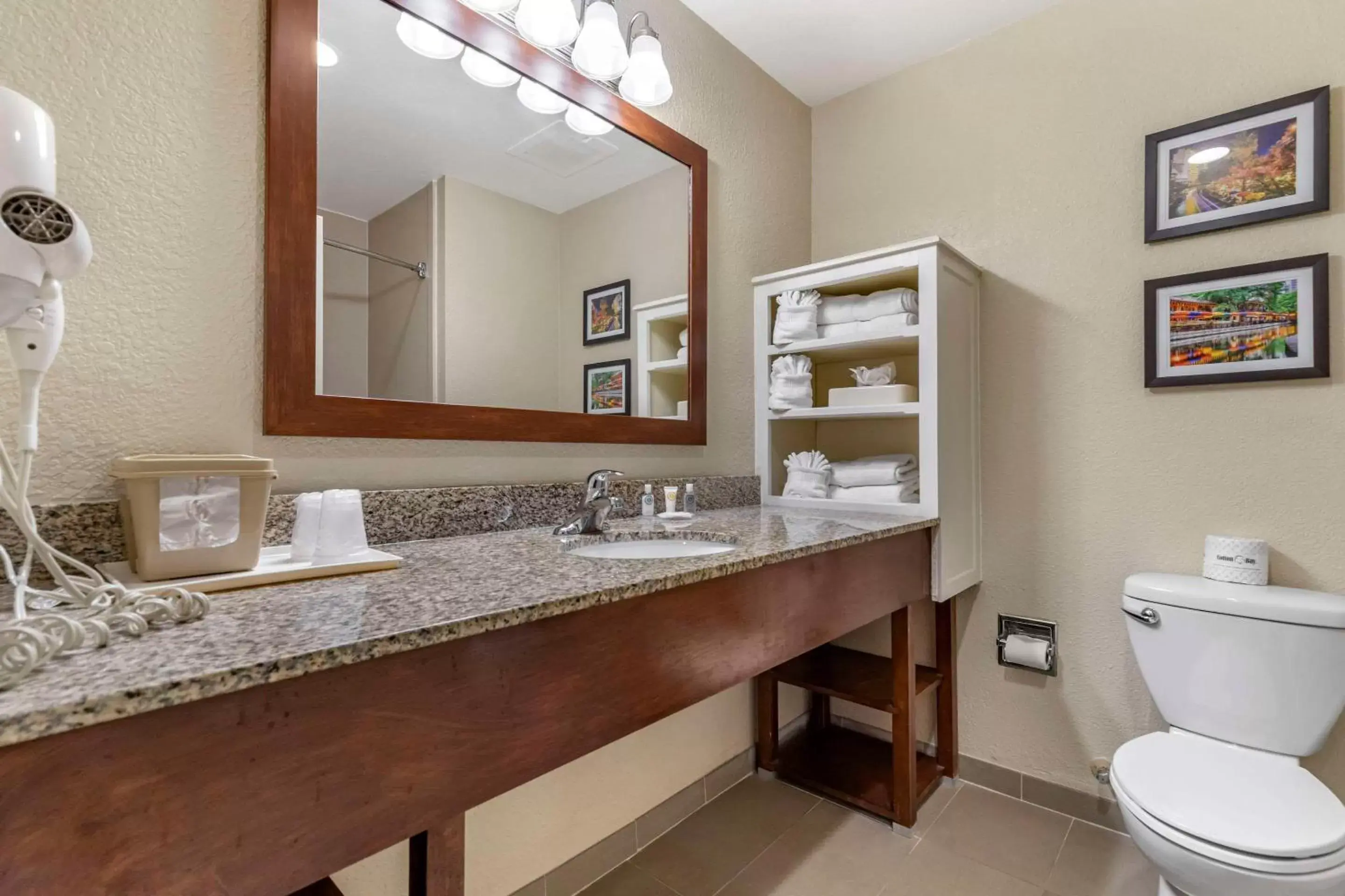 Bedroom, Bathroom in Comfort Suites Medical Center Near Six Flags