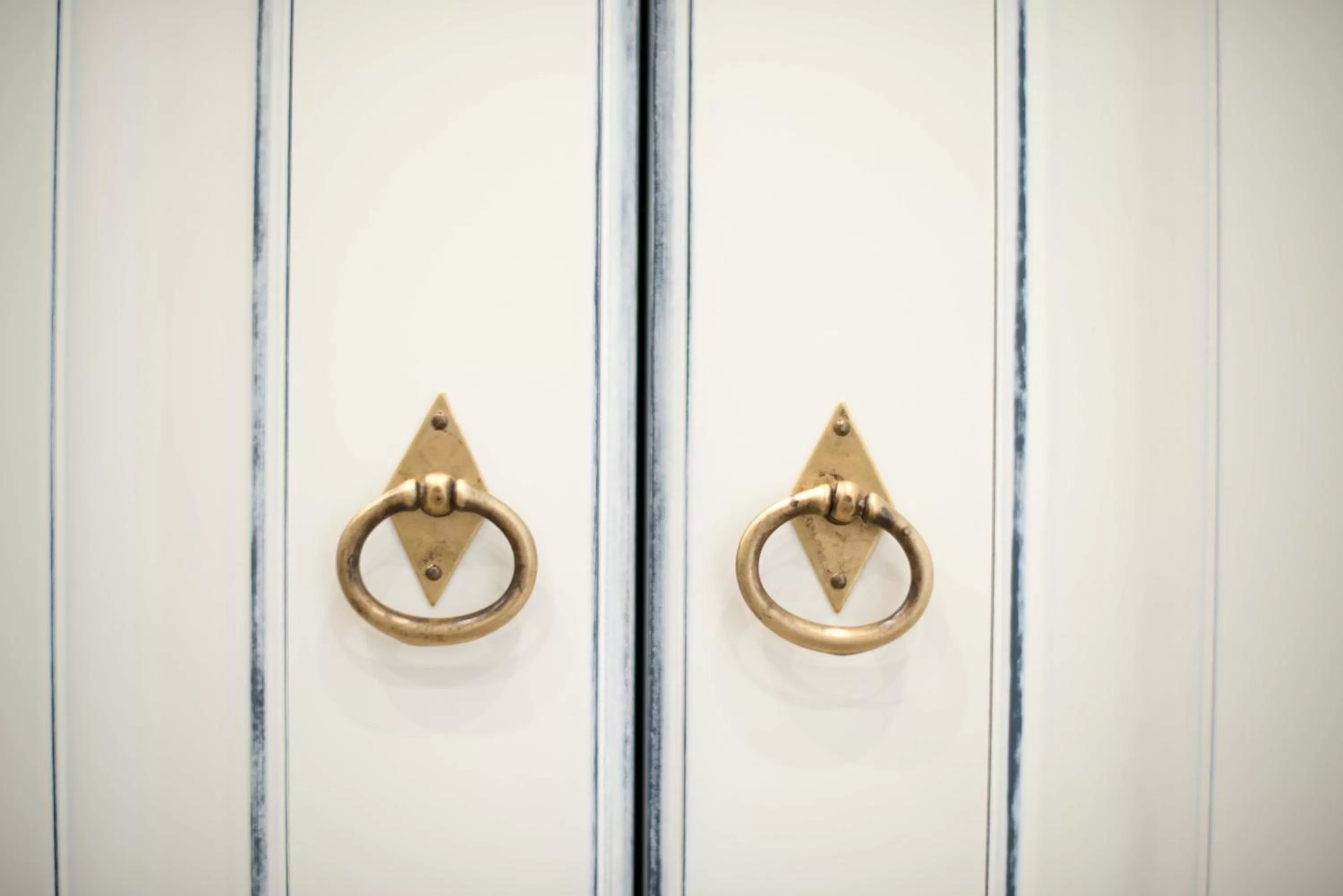 Decorative detail in Nolana '86