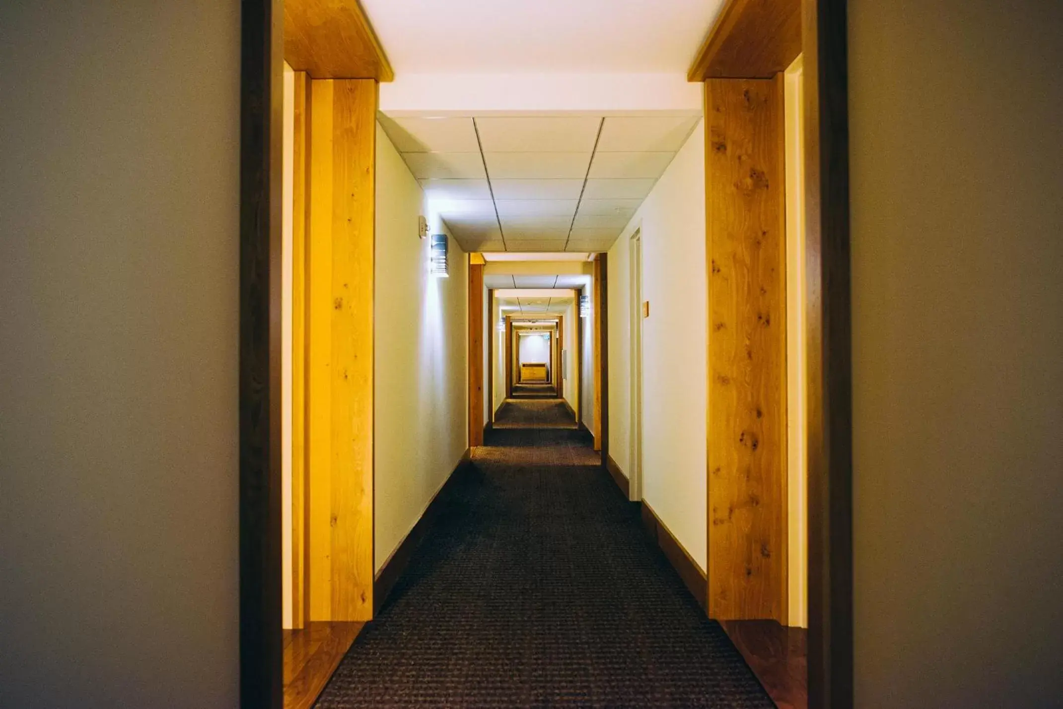 Area and facilities in Hotel Vermont Burlington
