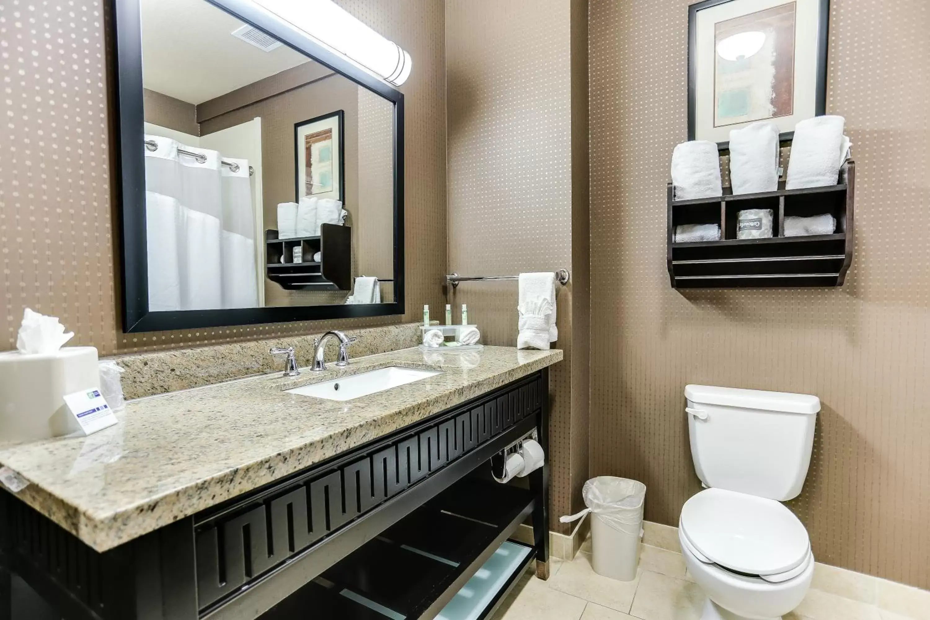 Bathroom in Holiday Inn Express Hotel & Suites Huntsville, an IHG Hotel