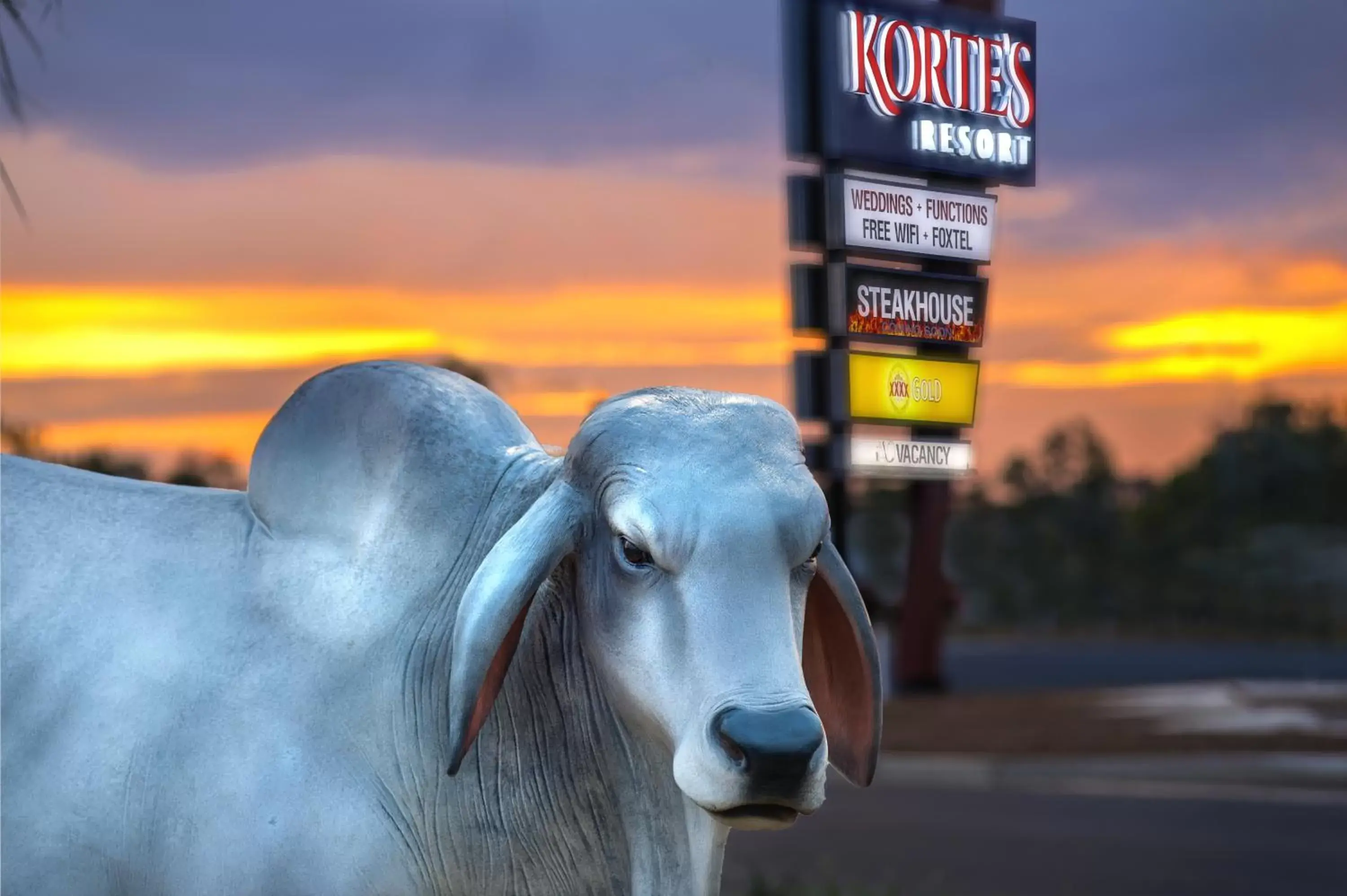 Property logo or sign, Other Animals in Korte's Resort