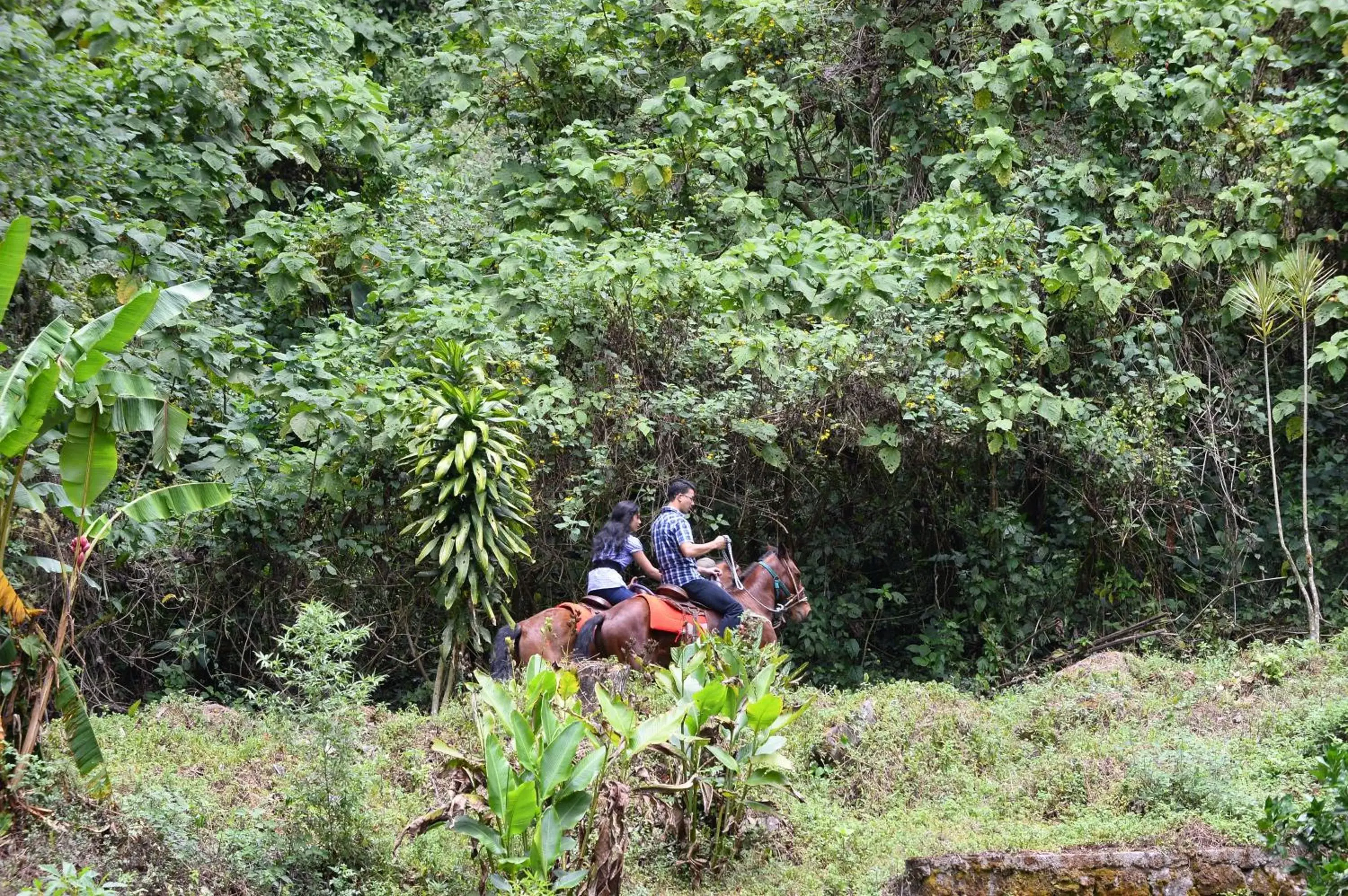 Guests in Hotel Faranda Bambito Chiriquí