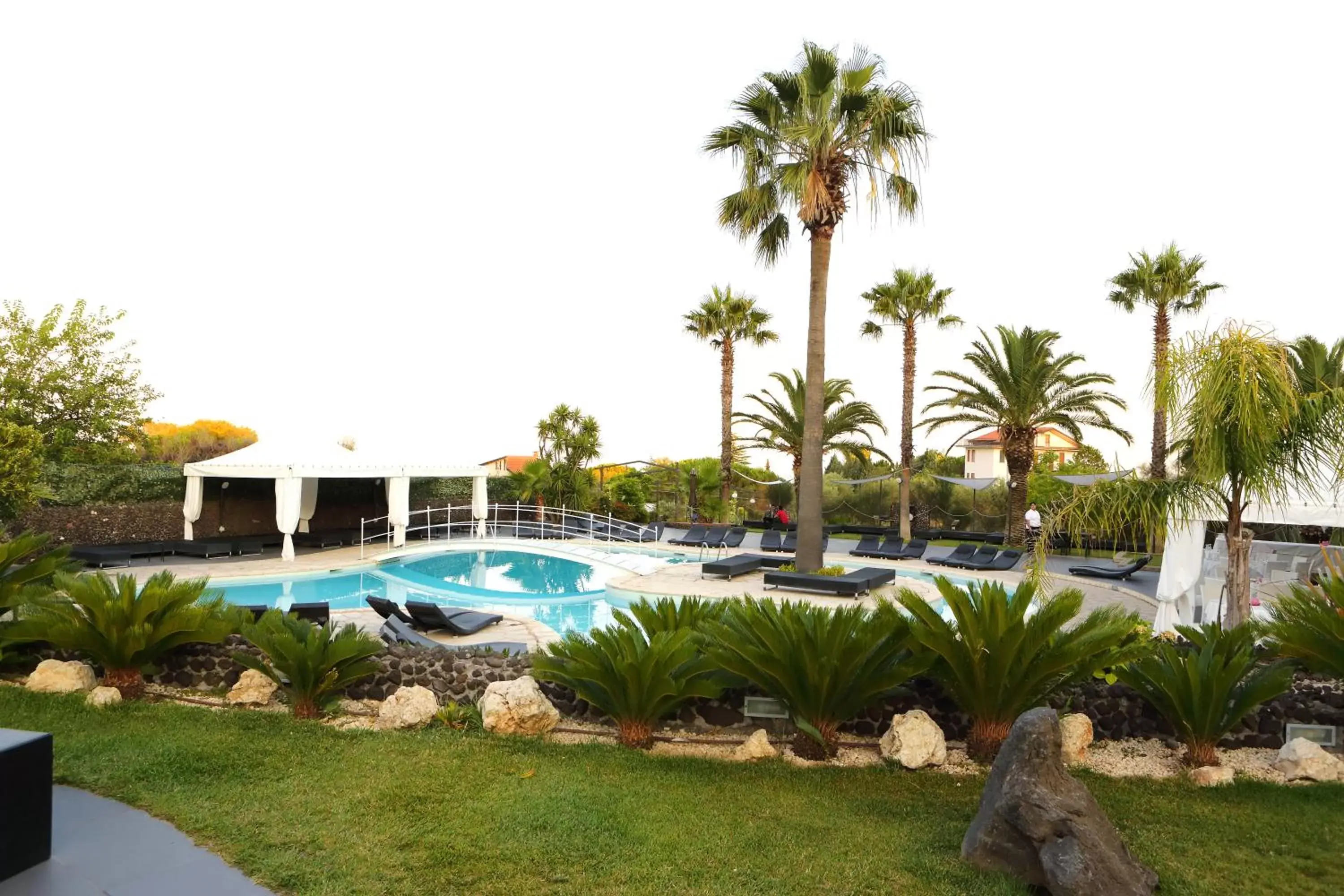 Garden, Swimming Pool in Villa Michelangelo