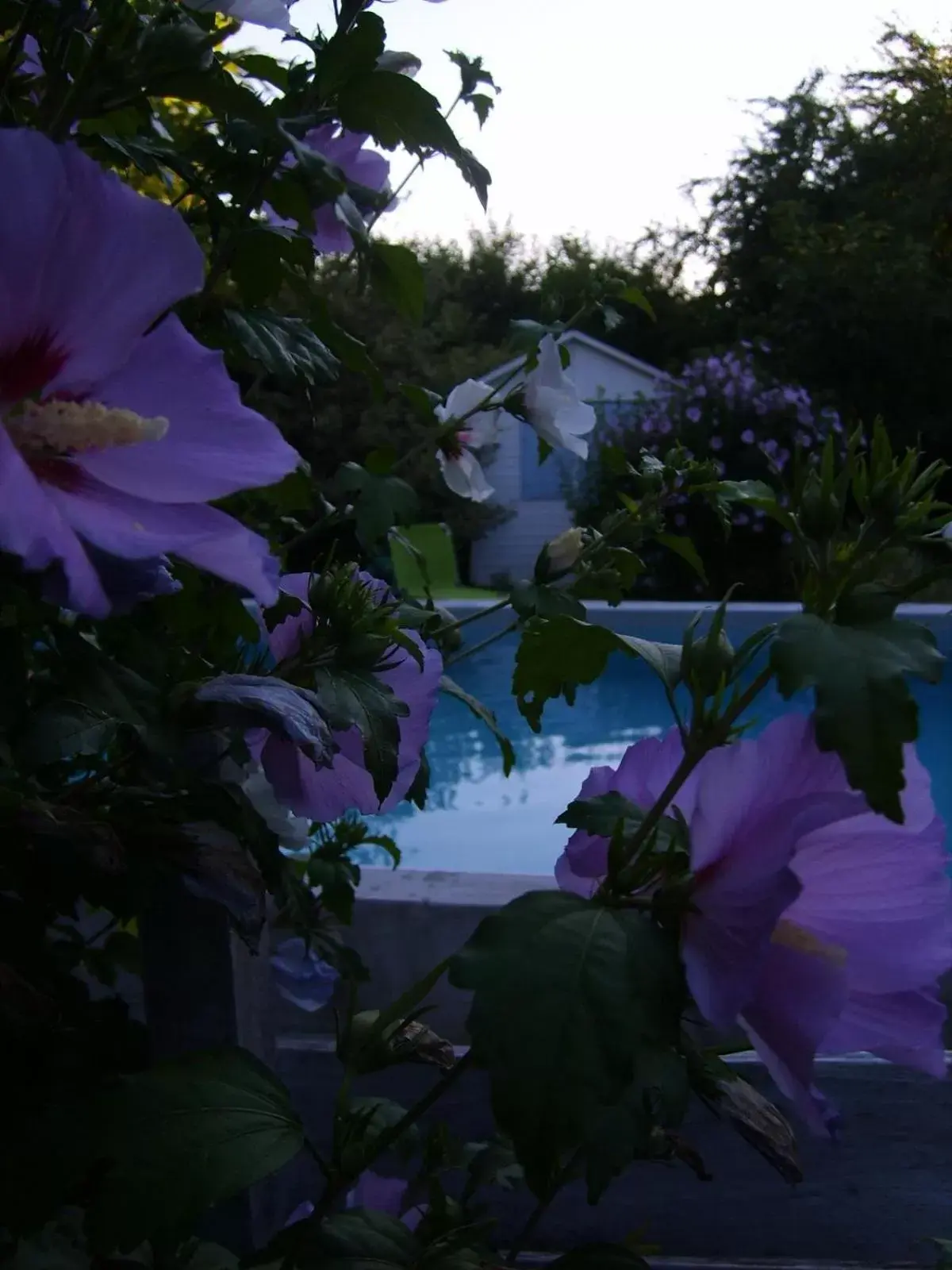 Day, Pool View in La Ferme de Thoudiere