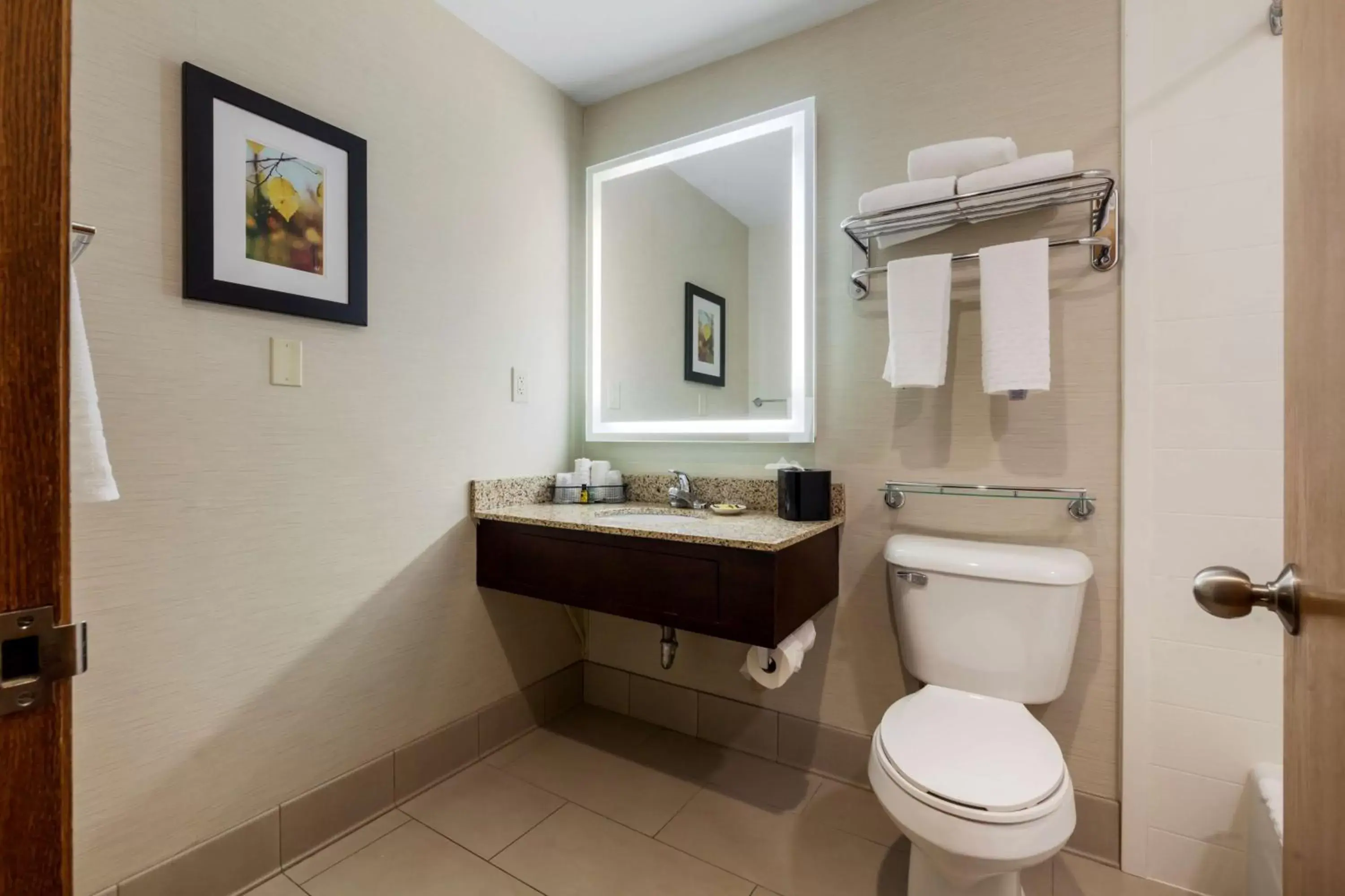 Bathroom in Best Western Plus Dubuque Hotel and Conference Center
