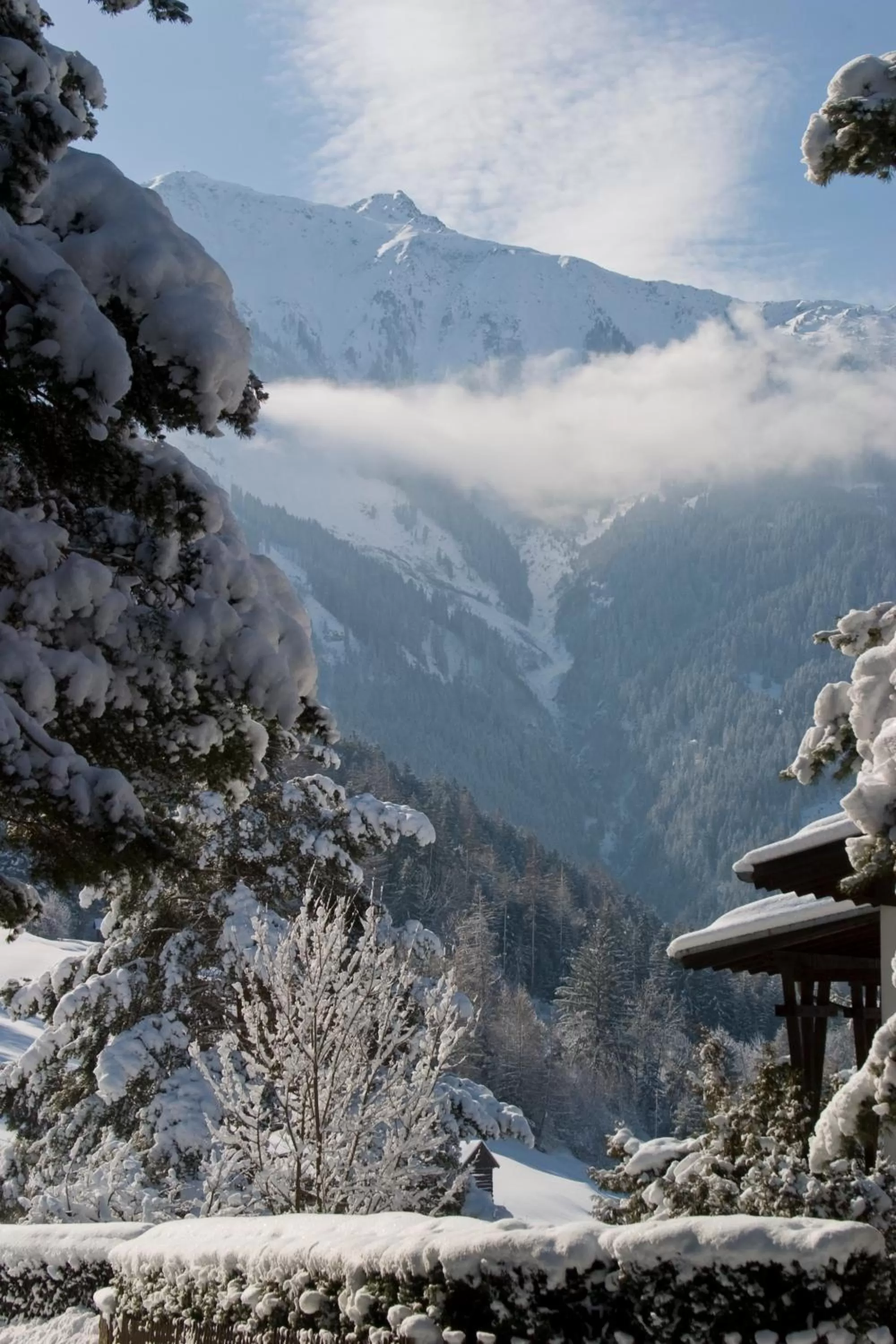 View (from property/room) in Huber Hotel Tramserhof