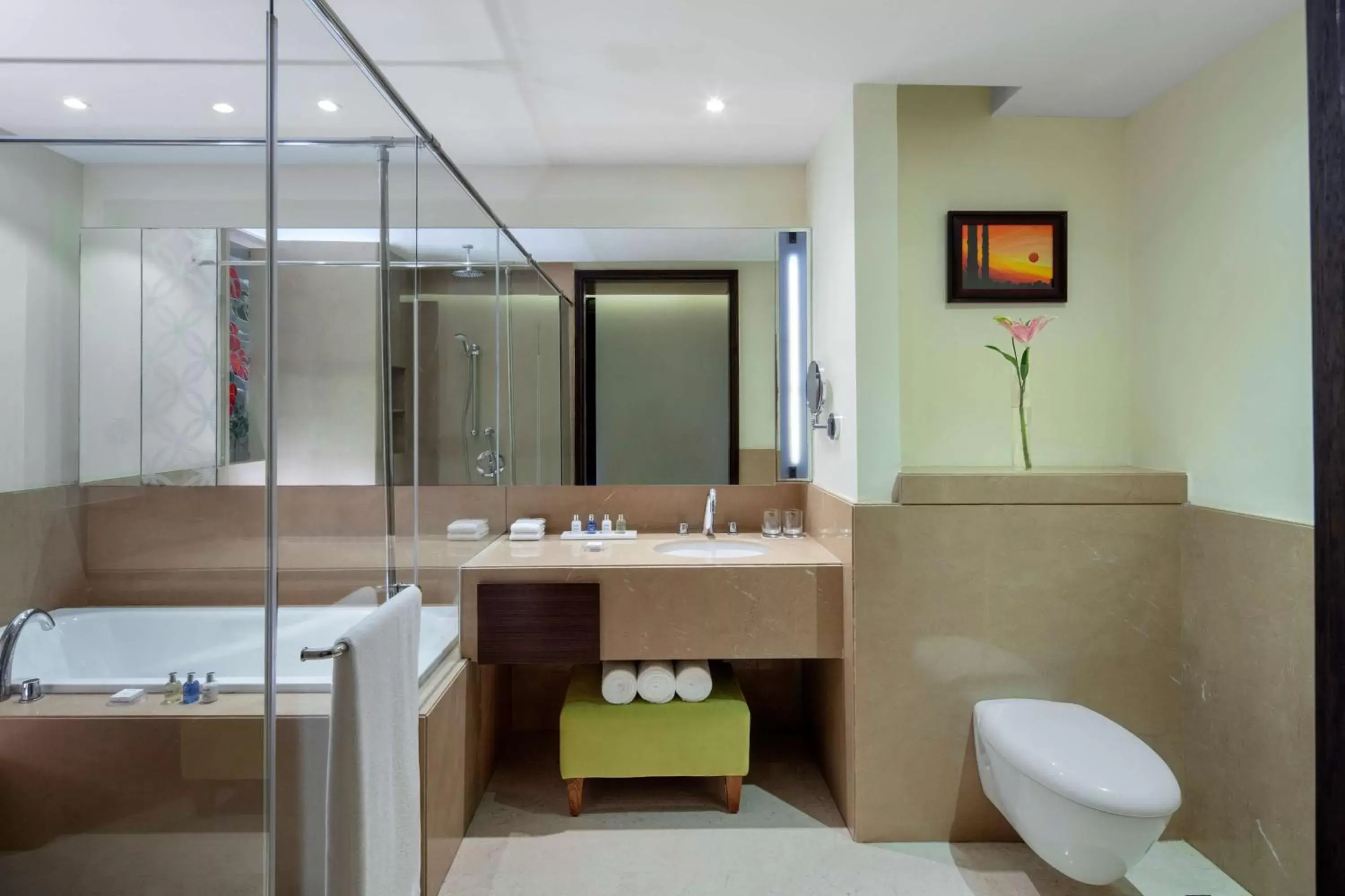 Toilet, Bathroom in Radisson Blu Plaza Hotel Mysore