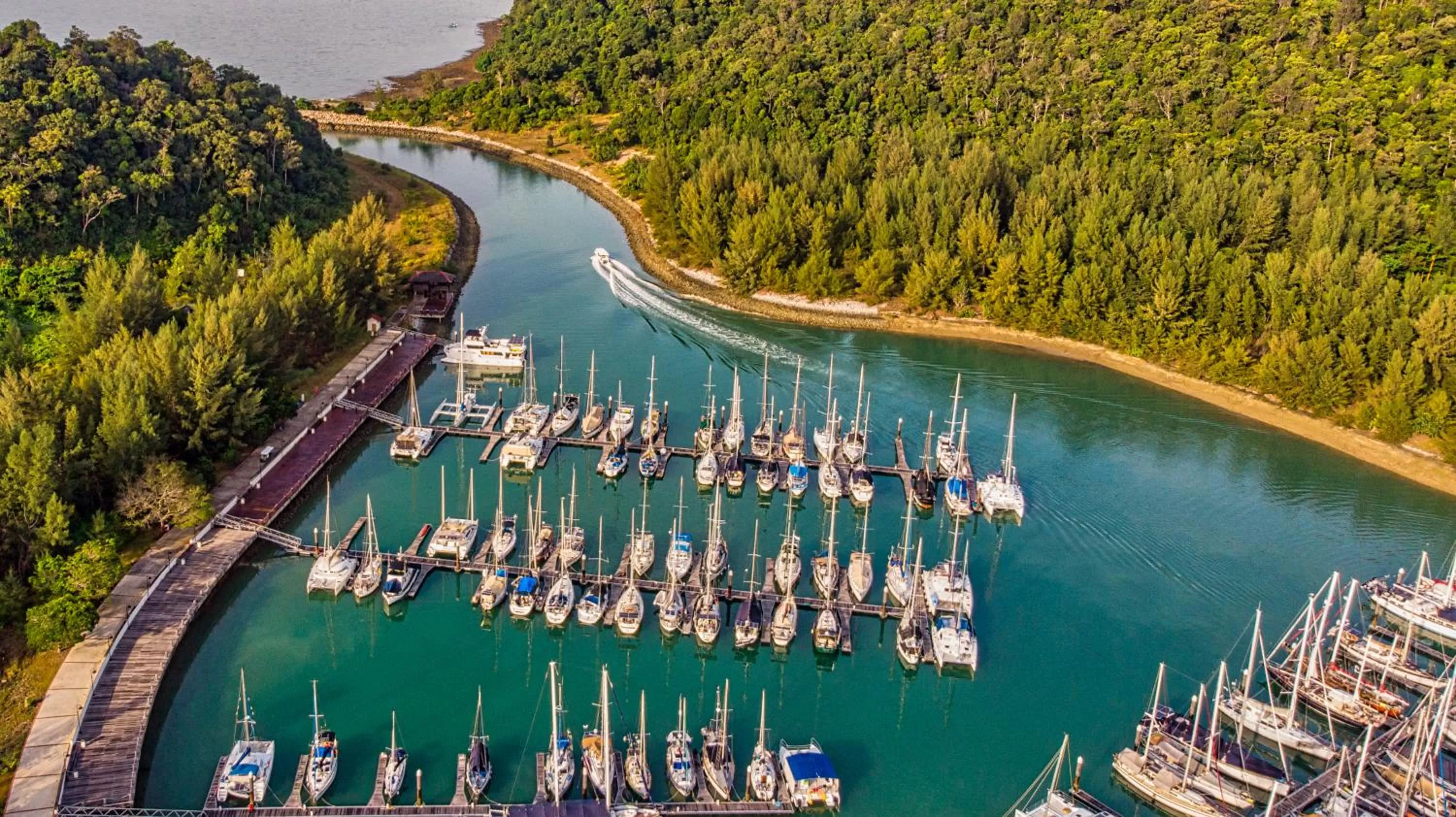 Bird's eye view in Rebak Island Resort & Marina, Langkawi 大自然 野生动物与美食爱好者的天堂