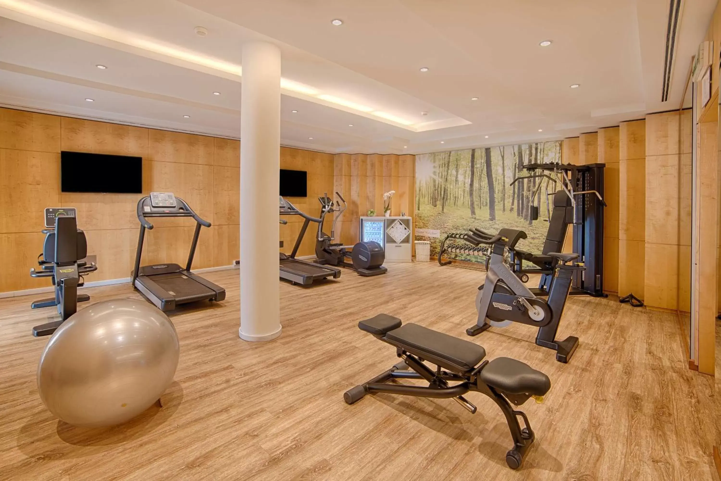 Spa and wellness centre/facilities, Fitness Center/Facilities in NH Lecco Pontevecchio