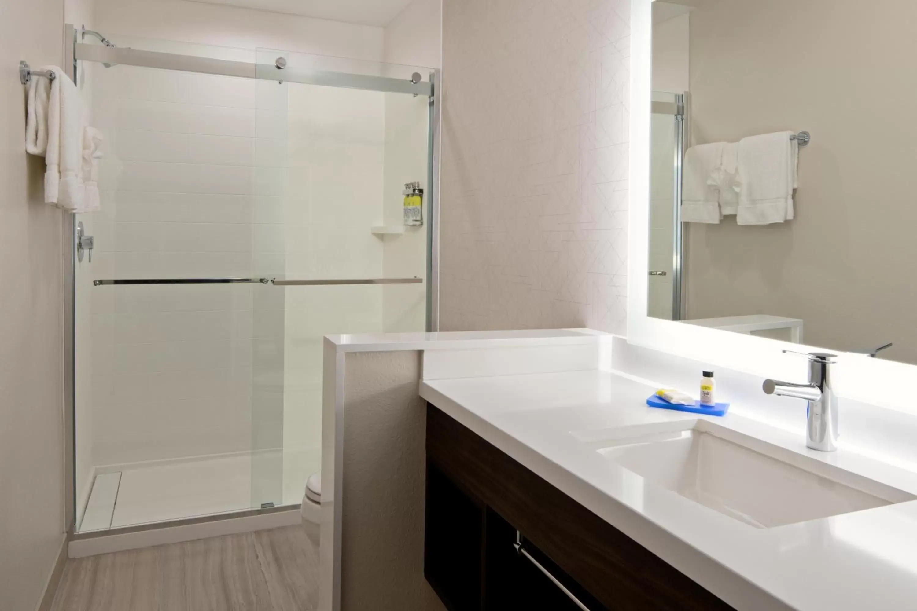 Bathroom in Holiday Inn Express & Suites - Valencia - Santa Clarita, an IHG Hotel