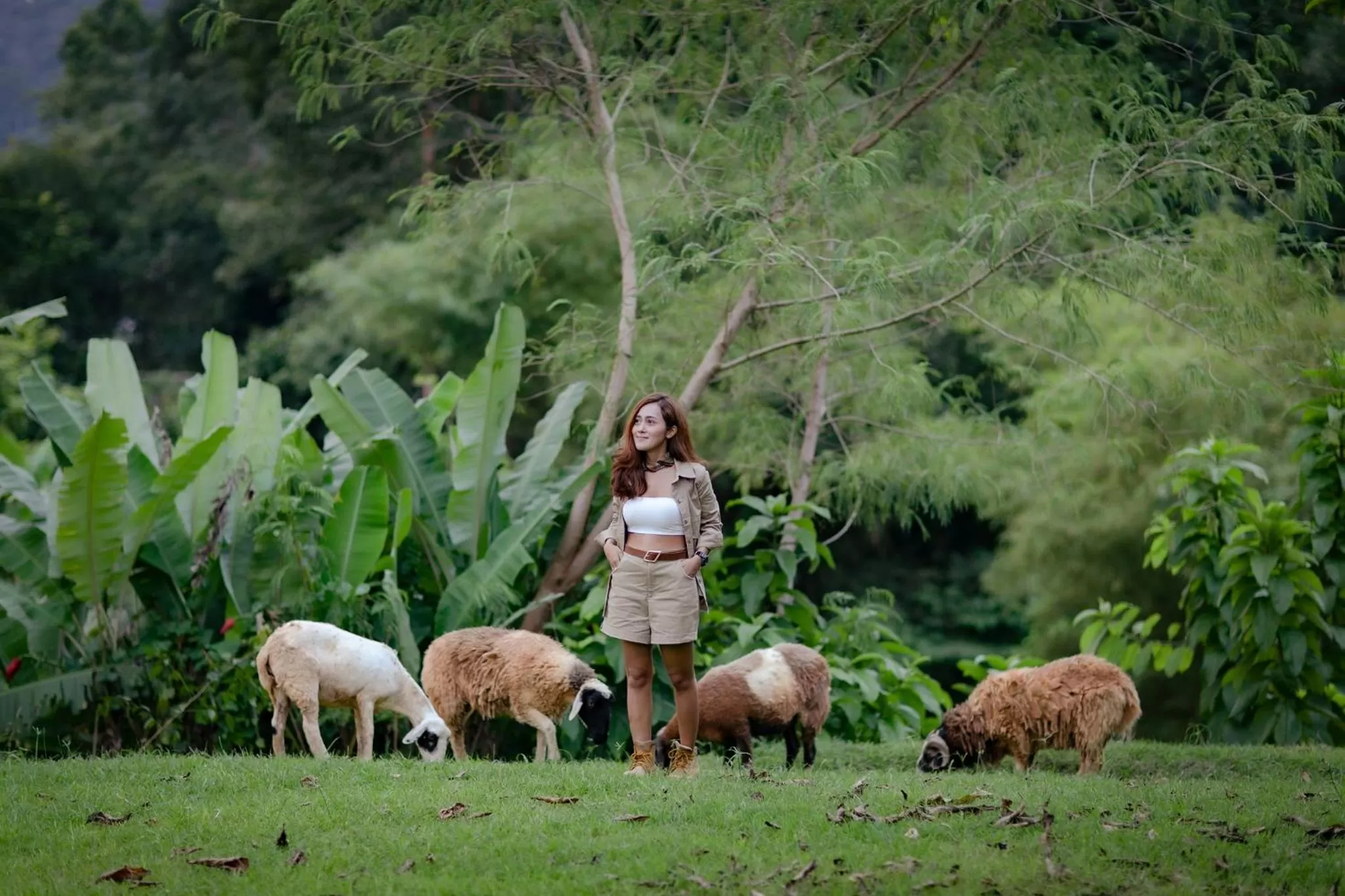 Animals in Kachonghills Tented Resort Trang