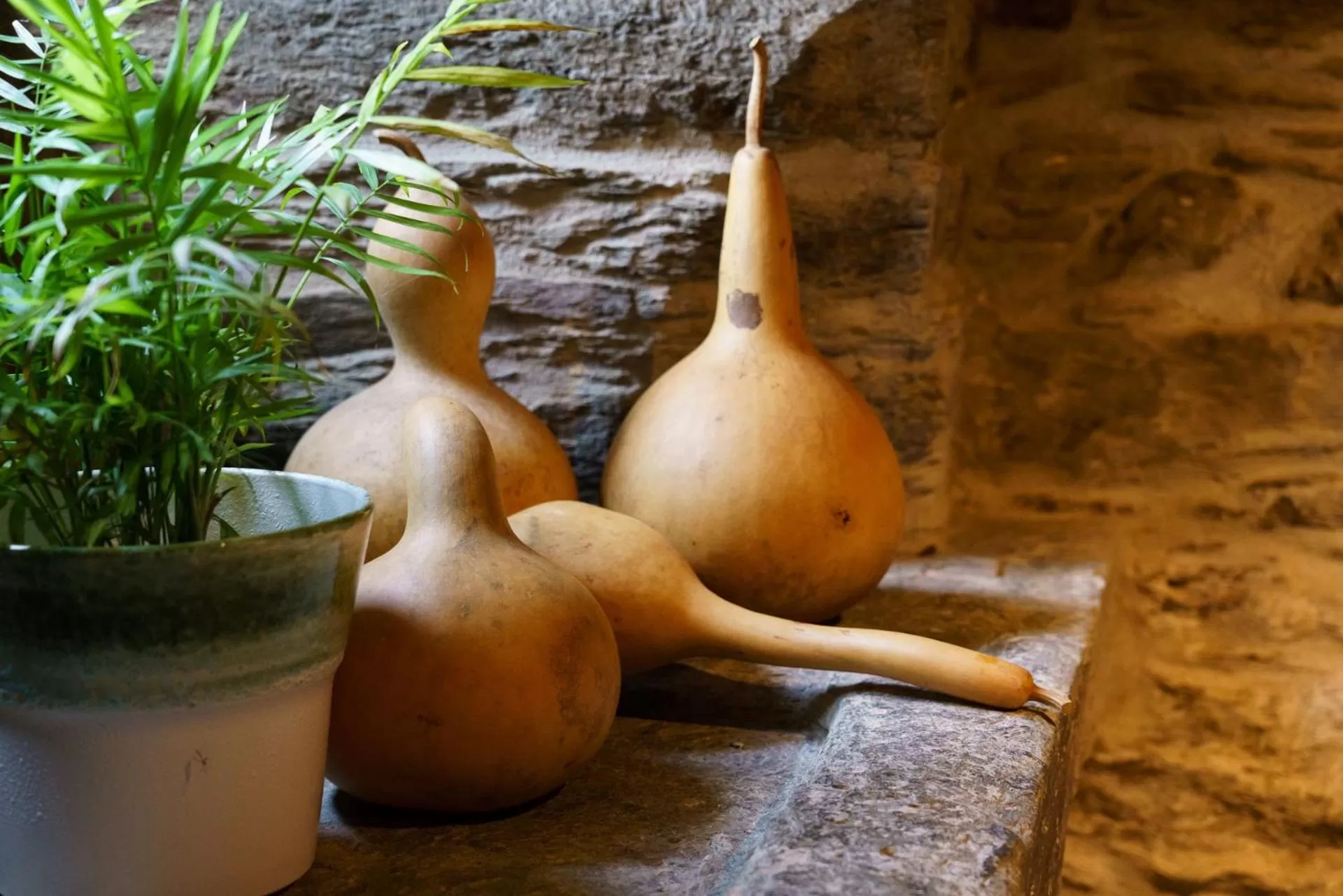 Decorative detail in Lar da Mota Boutique Hotel