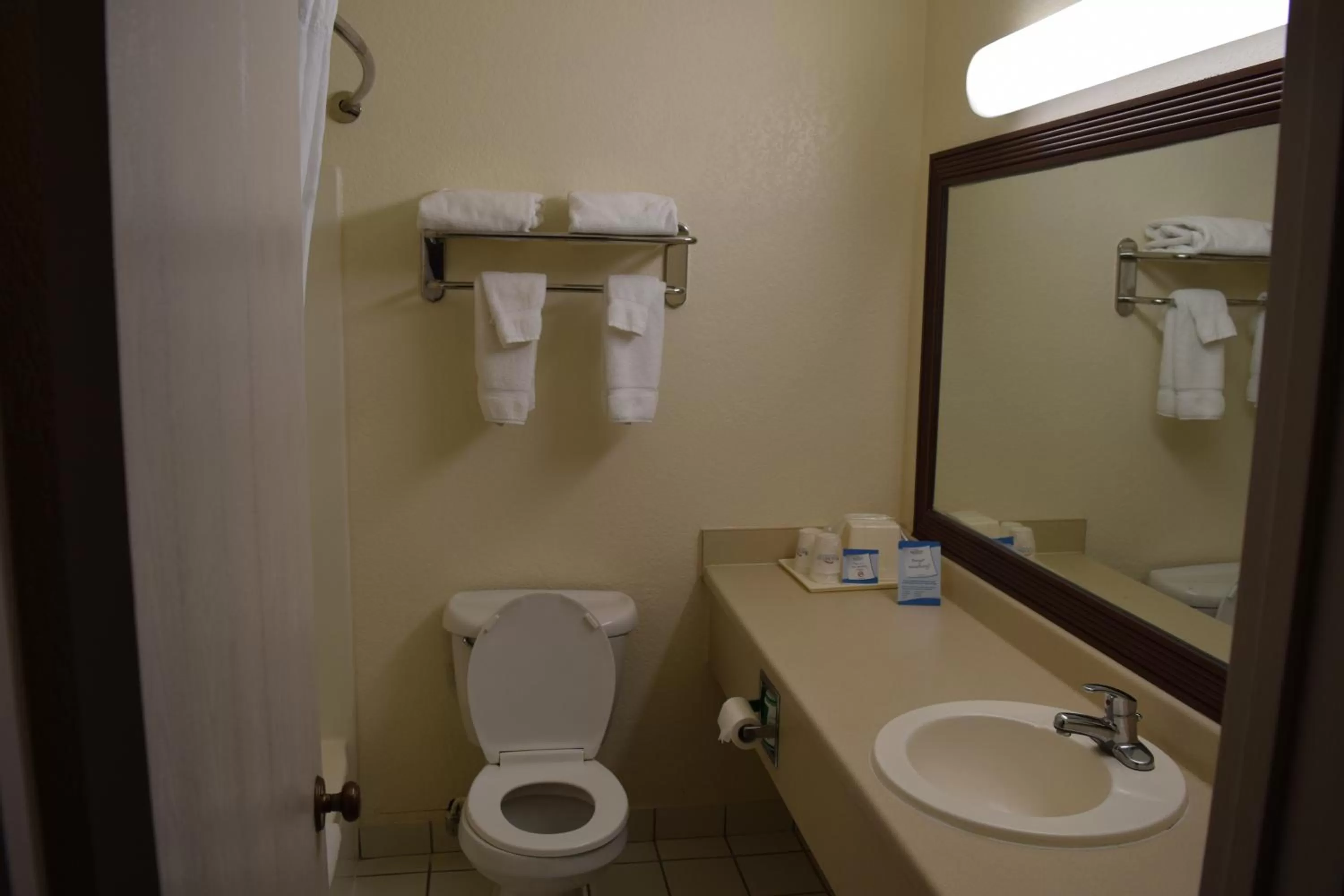 Bathroom in Baymont by Wyndham Midland Airport