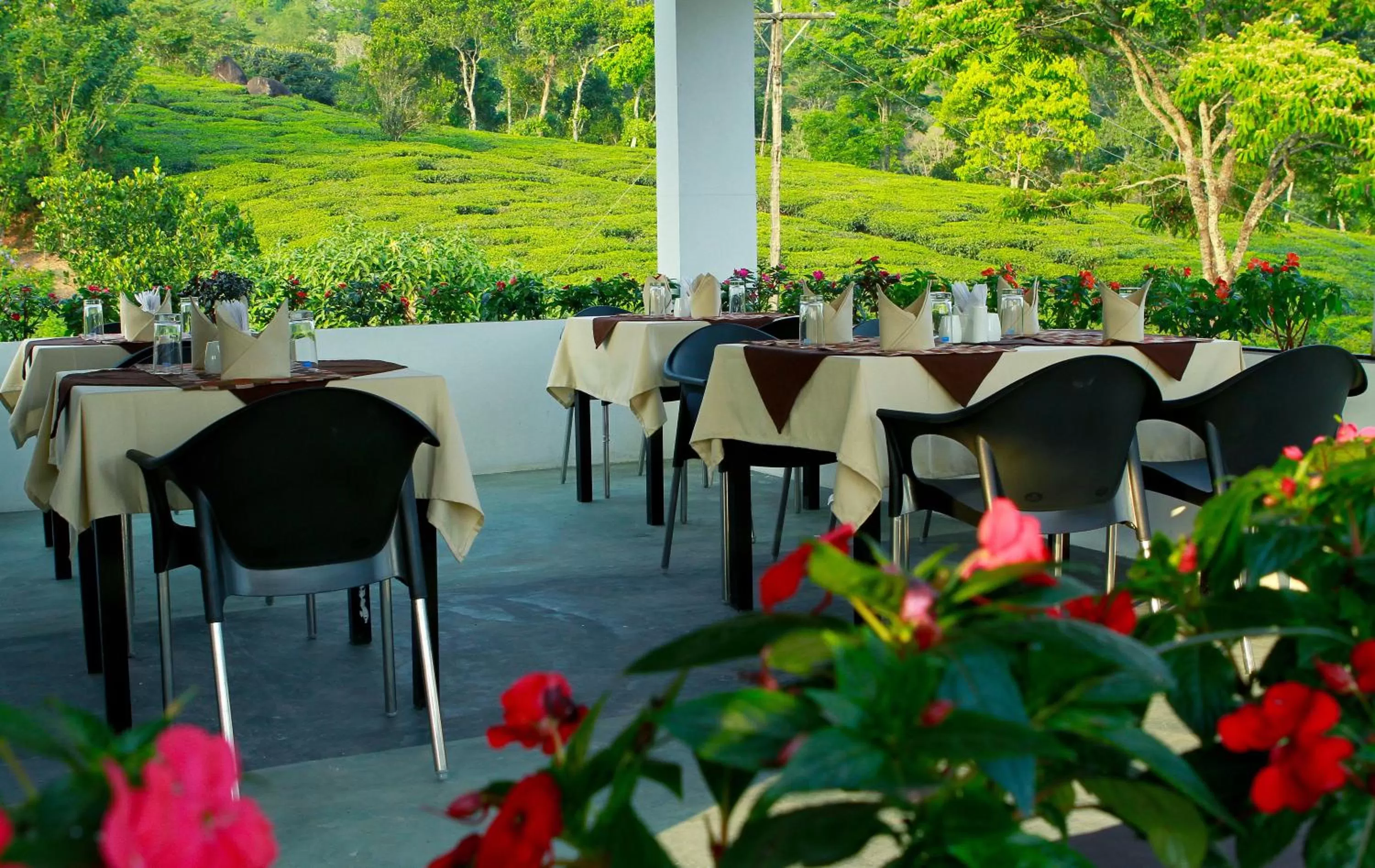 Restaurant/places to eat in Gruenberg Tea Plantation Haus