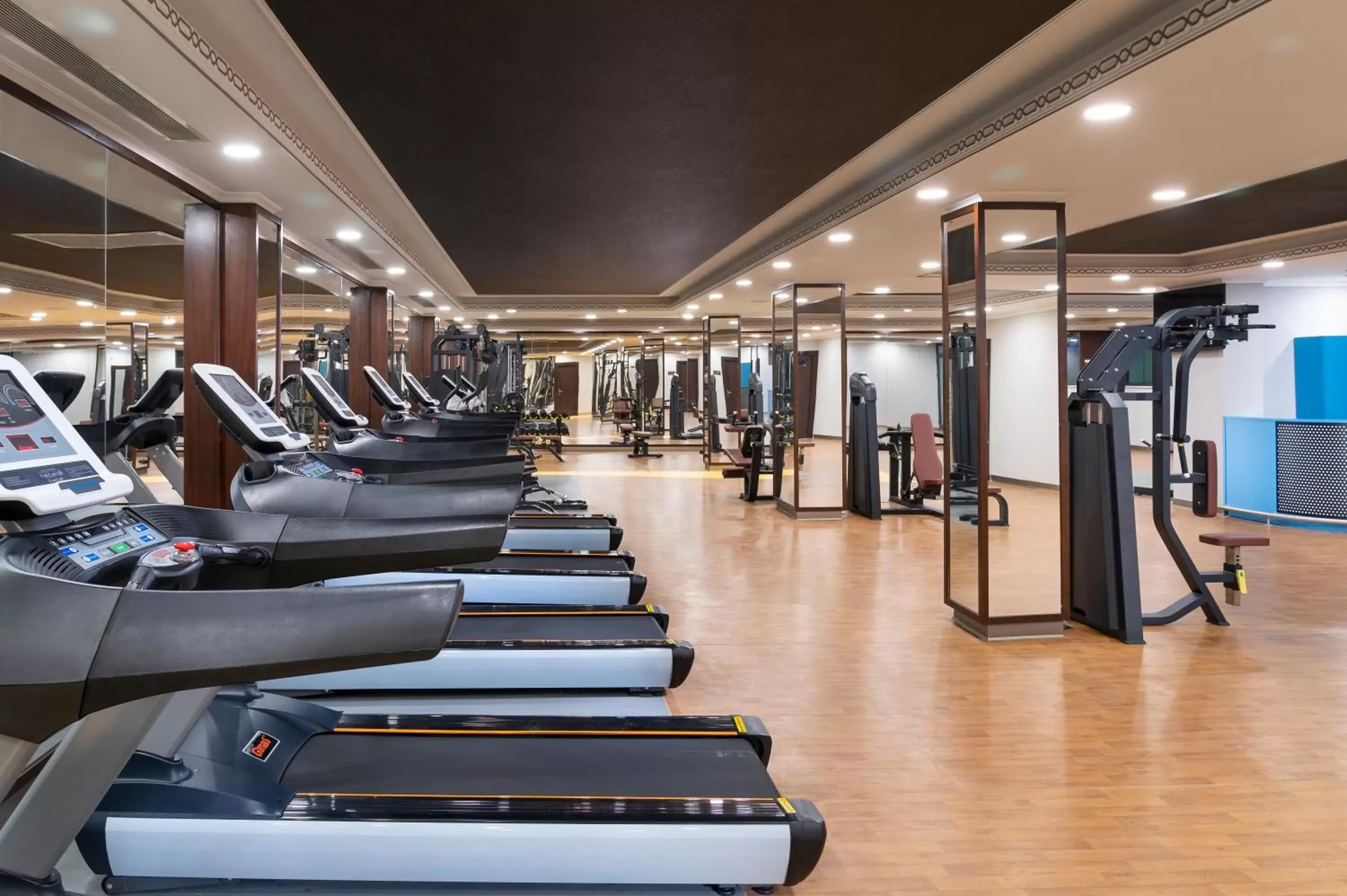 Fitness centre/facilities, Fitness Center/Facilities in Ramada Plaza by Wyndham Silivri