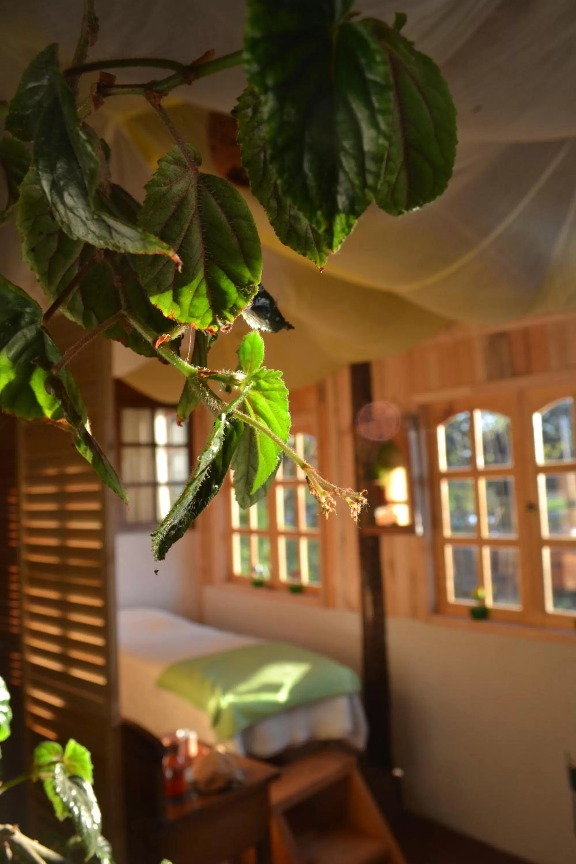 Massage, Property Building in La Casa de Adobe Natural y Más