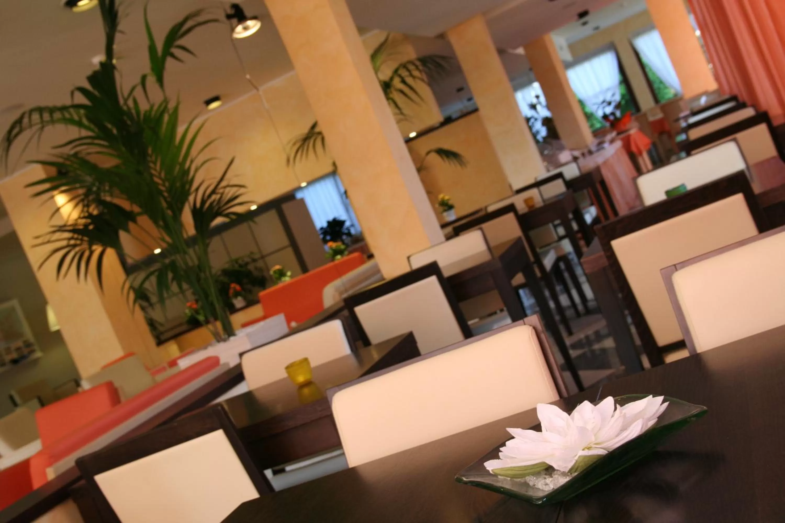 Restaurant/Places to Eat in Hotel Augustus