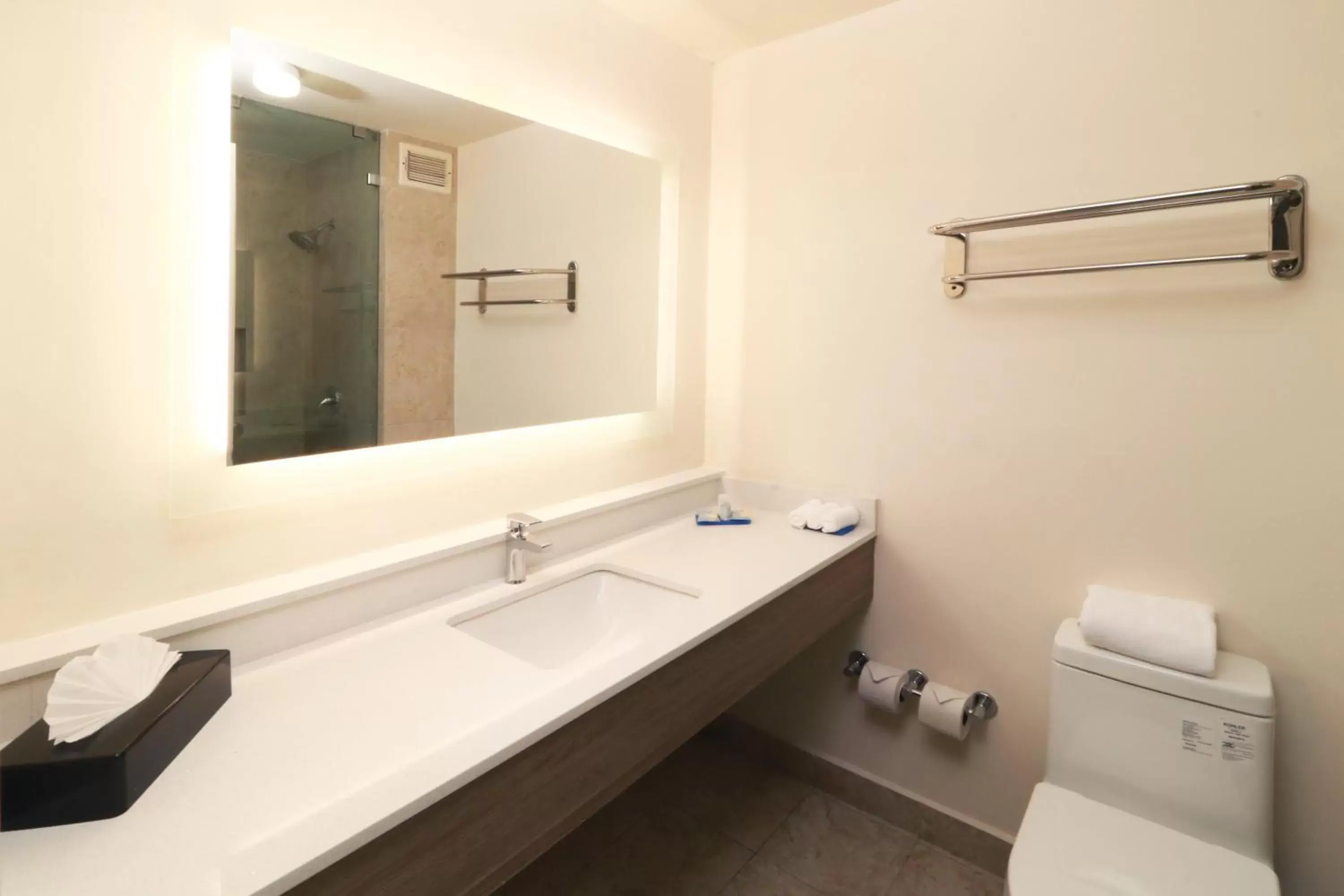 Bathroom in Holiday Inn Express Piedras Negras, an IHG Hotel