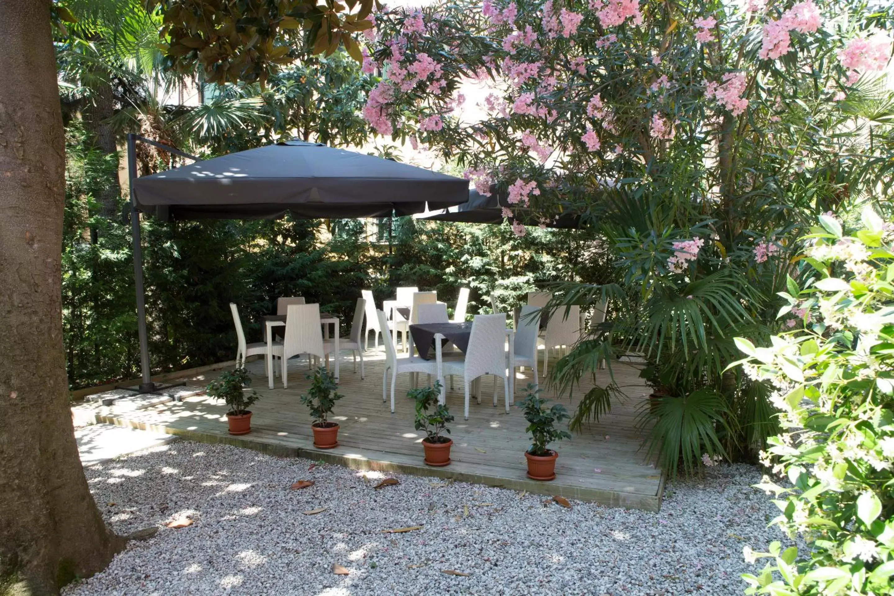 Garden in Hotel Villa Pannonia