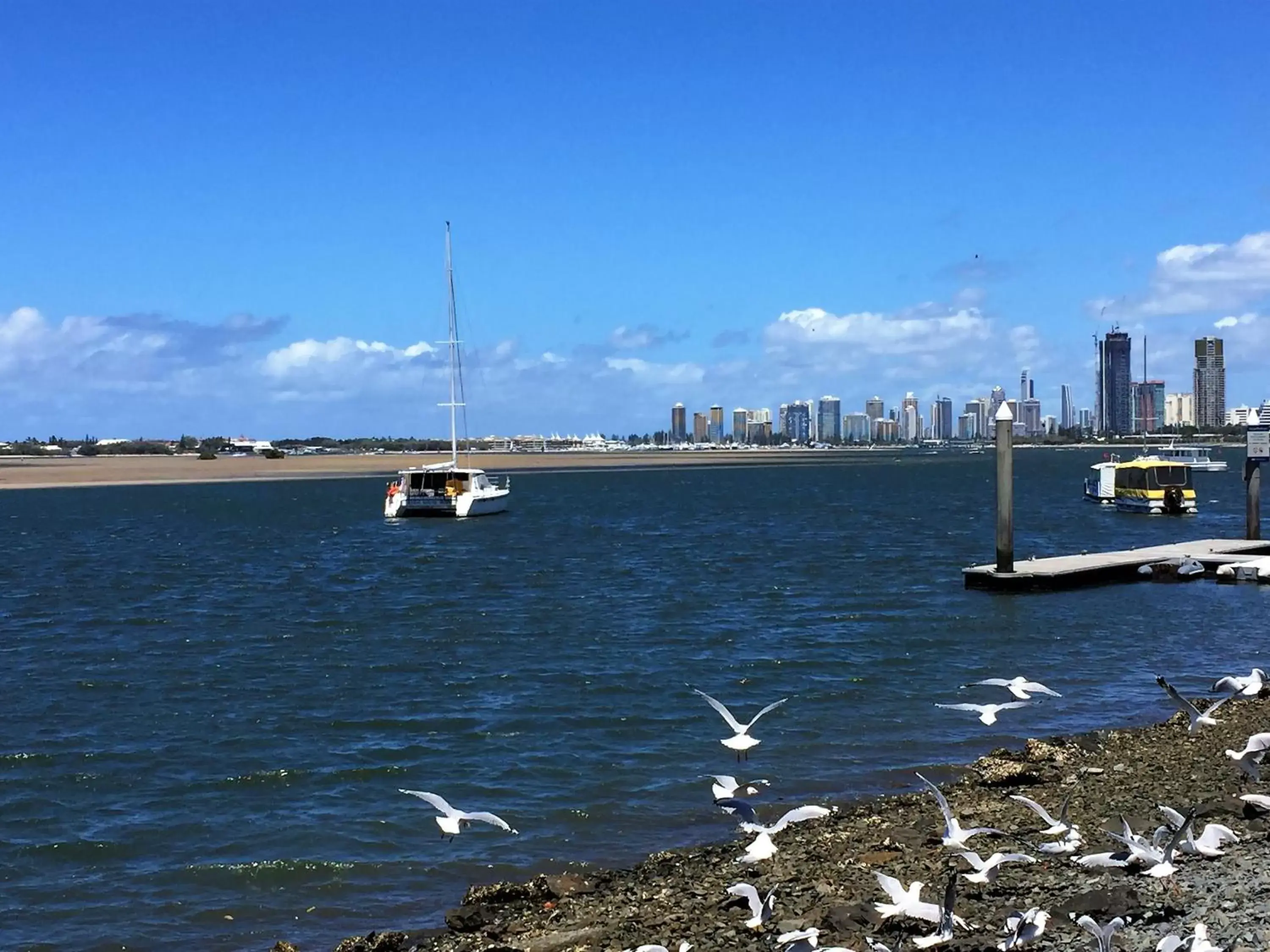 Natural landscape in Pelican Cove Apartments