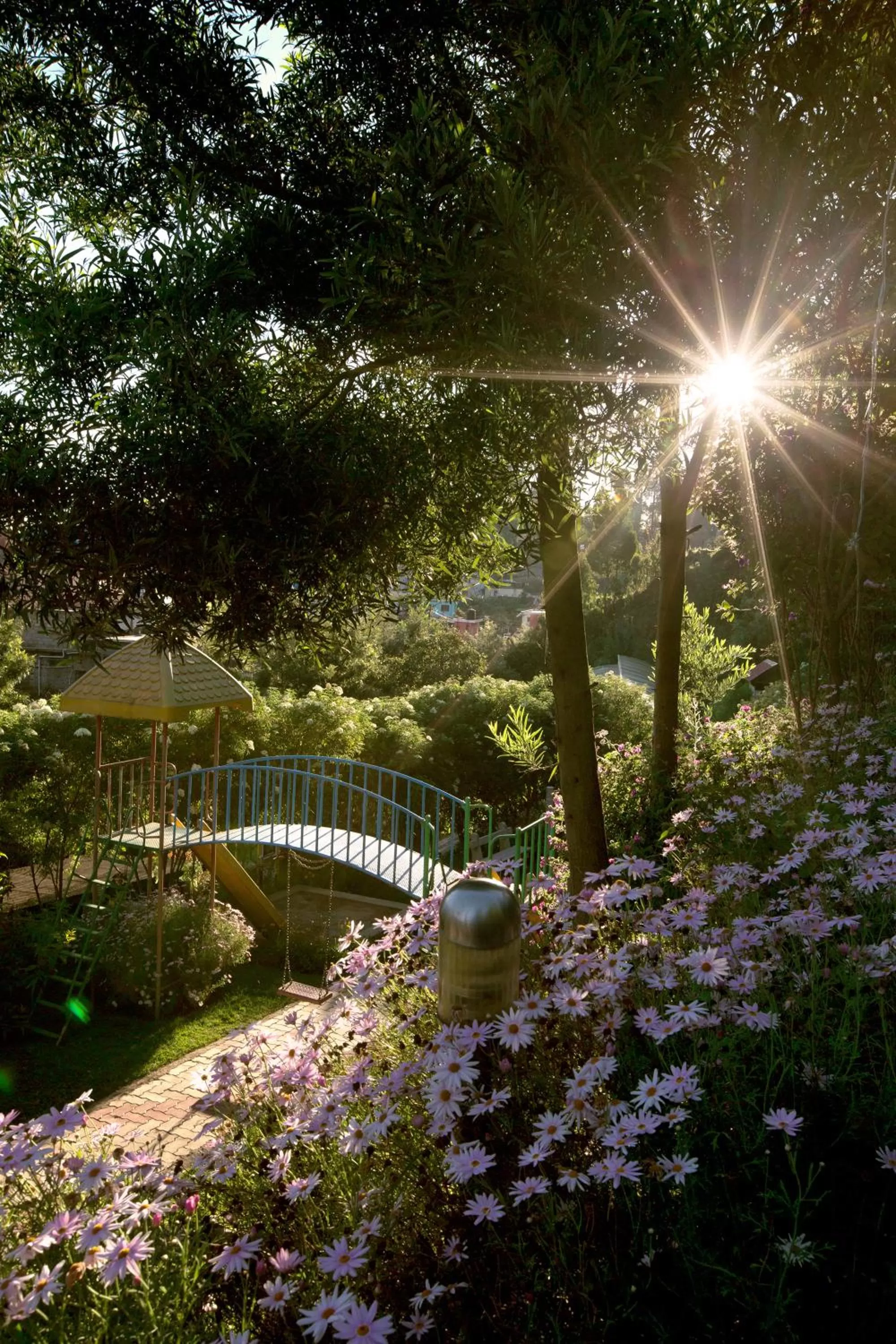 Garden in Pine Borough Inn