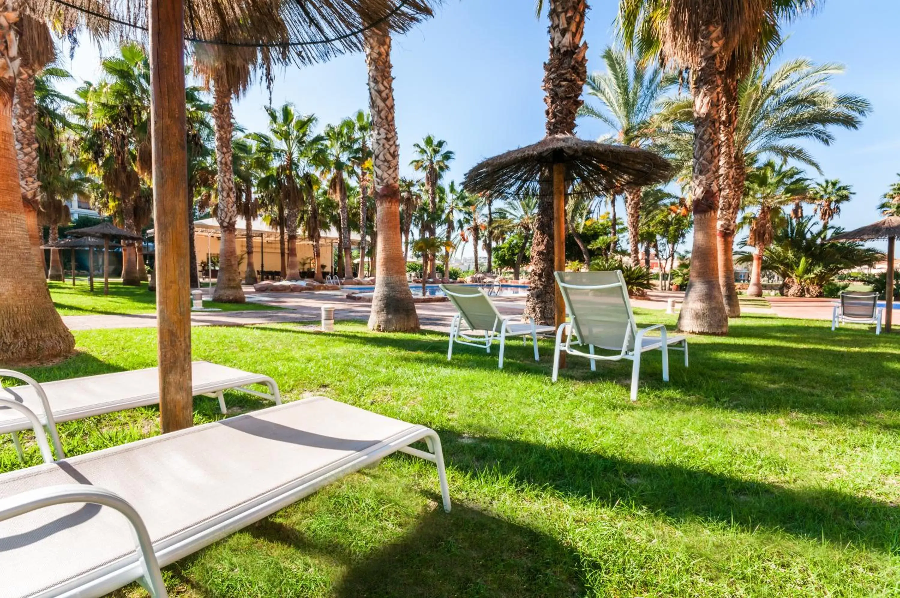 Garden in Hotel Alicante Golf