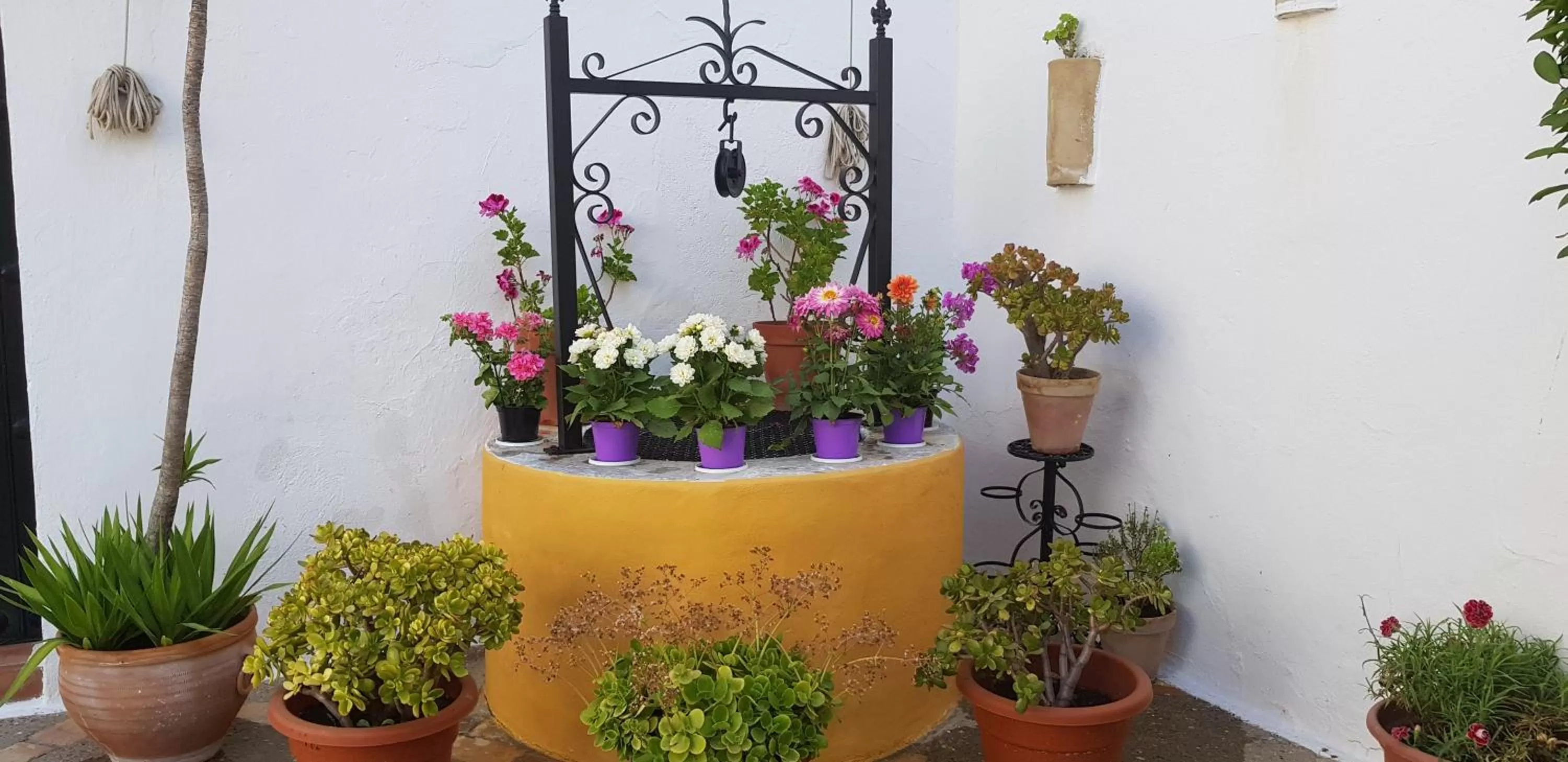 Balcony/Terrace in Hacienda El Santiscal Adults Only
