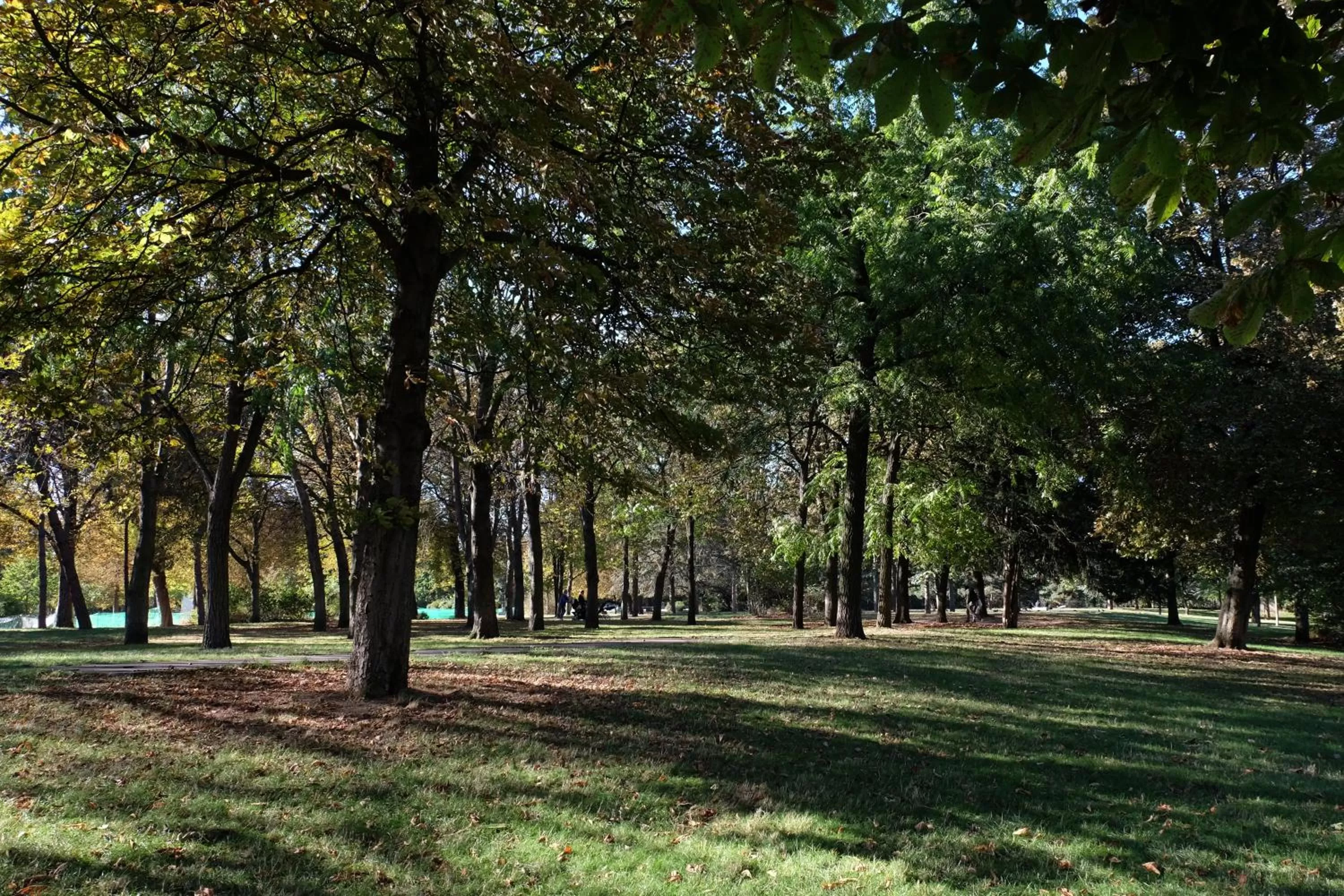 Natural landscape in ibis Daumesnil Porte Doree