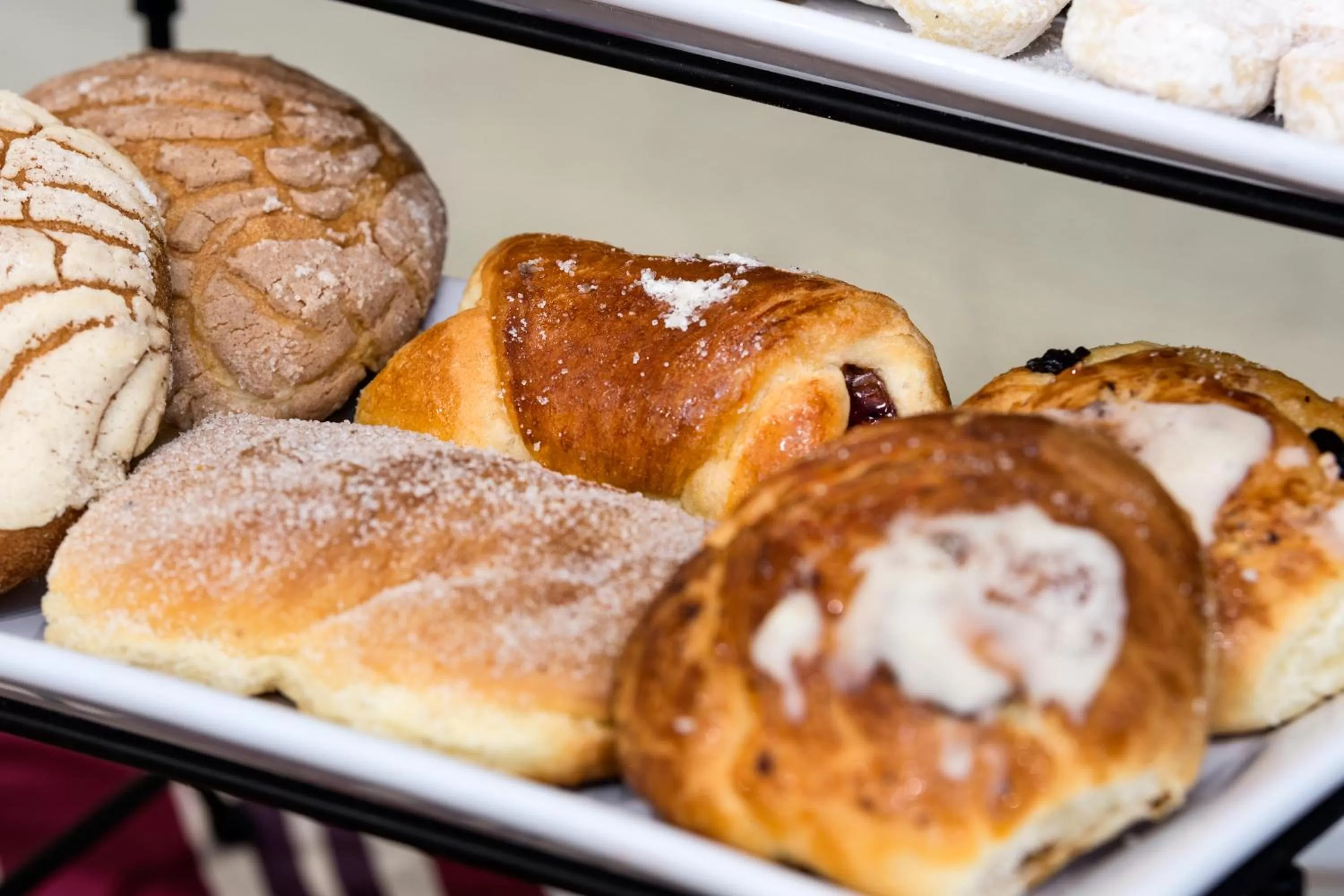 Hotel San Francisco Leon