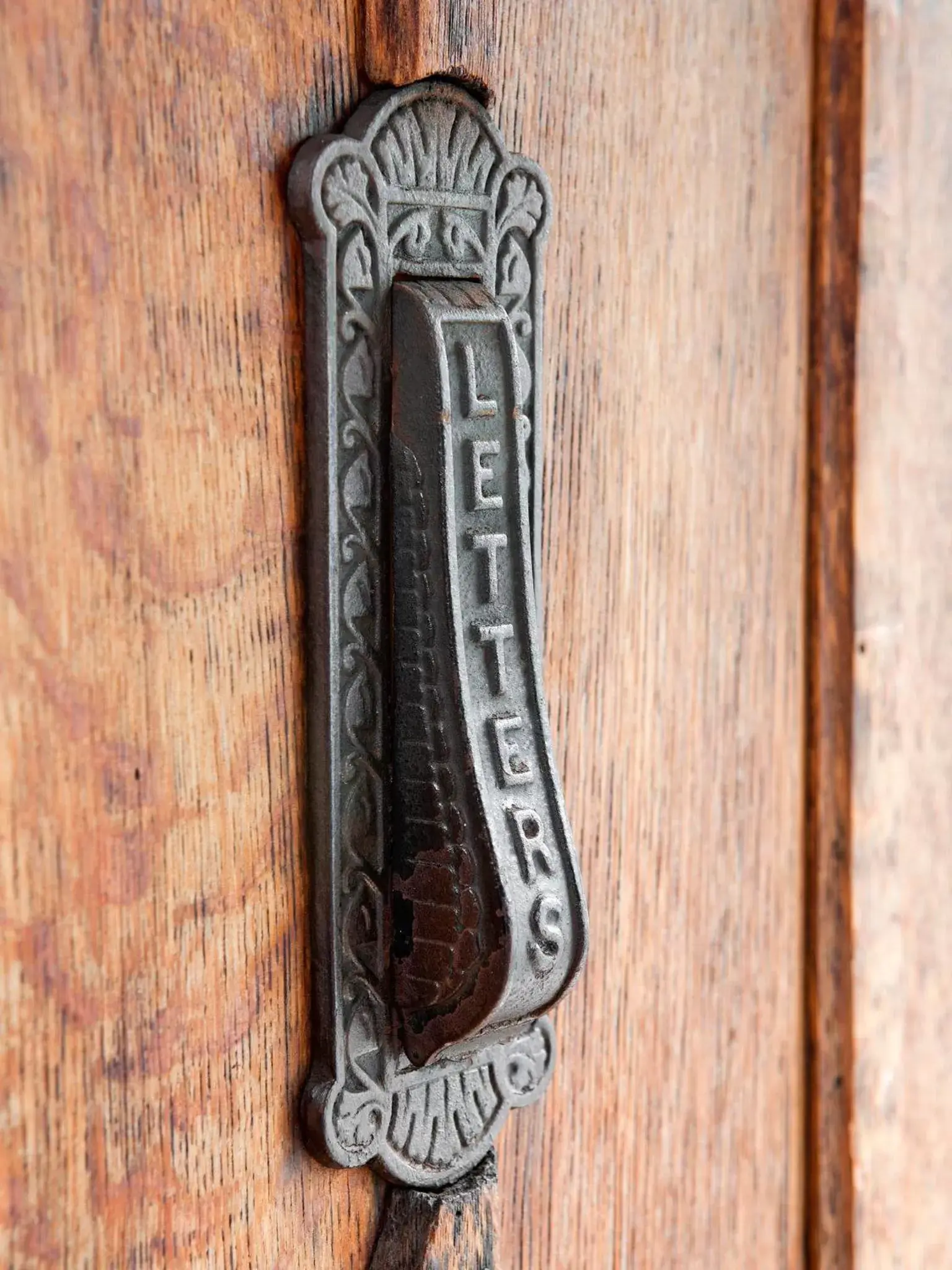 Decorative detail, Property Logo/Sign in The Broad Leys