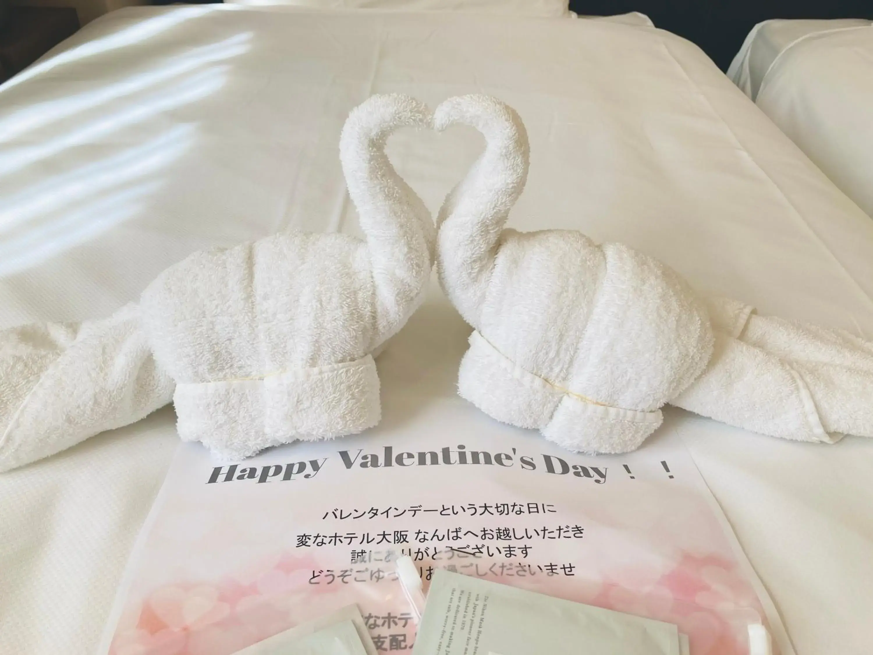 room service in Henn na Hotel Osaka Namba