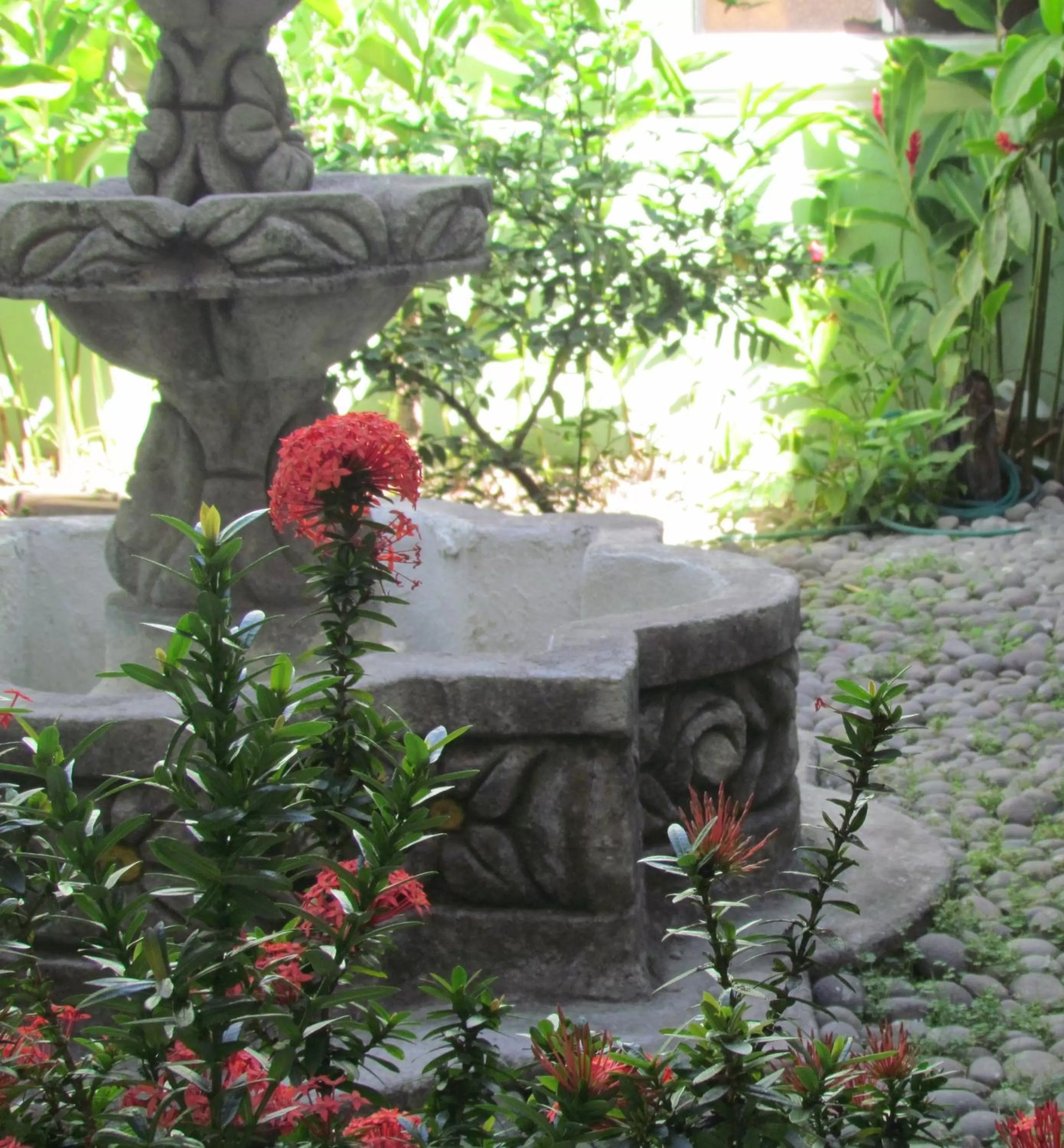 Day in Hotel Villa Serena Escalon