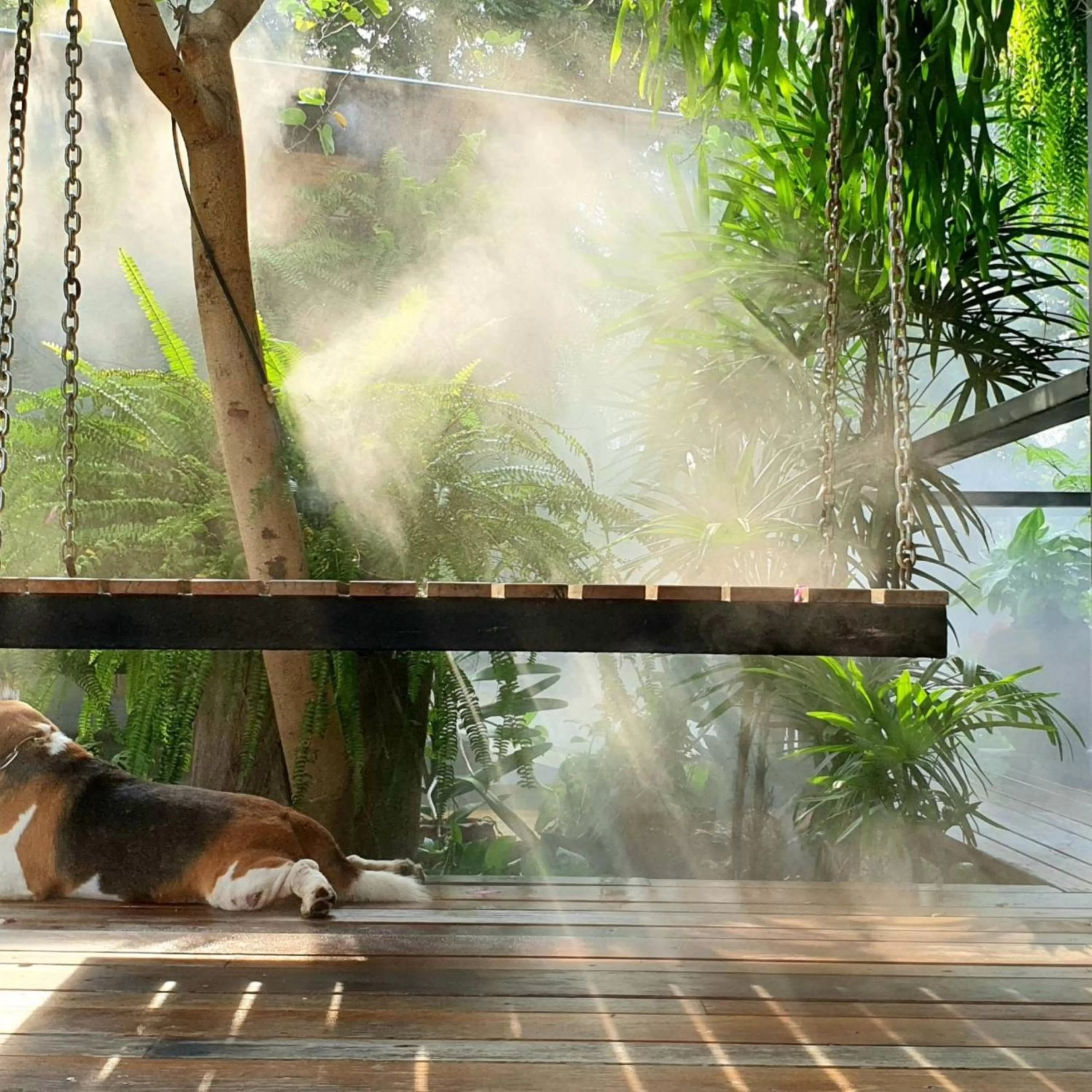 Other in Amara Resort Hua Hin