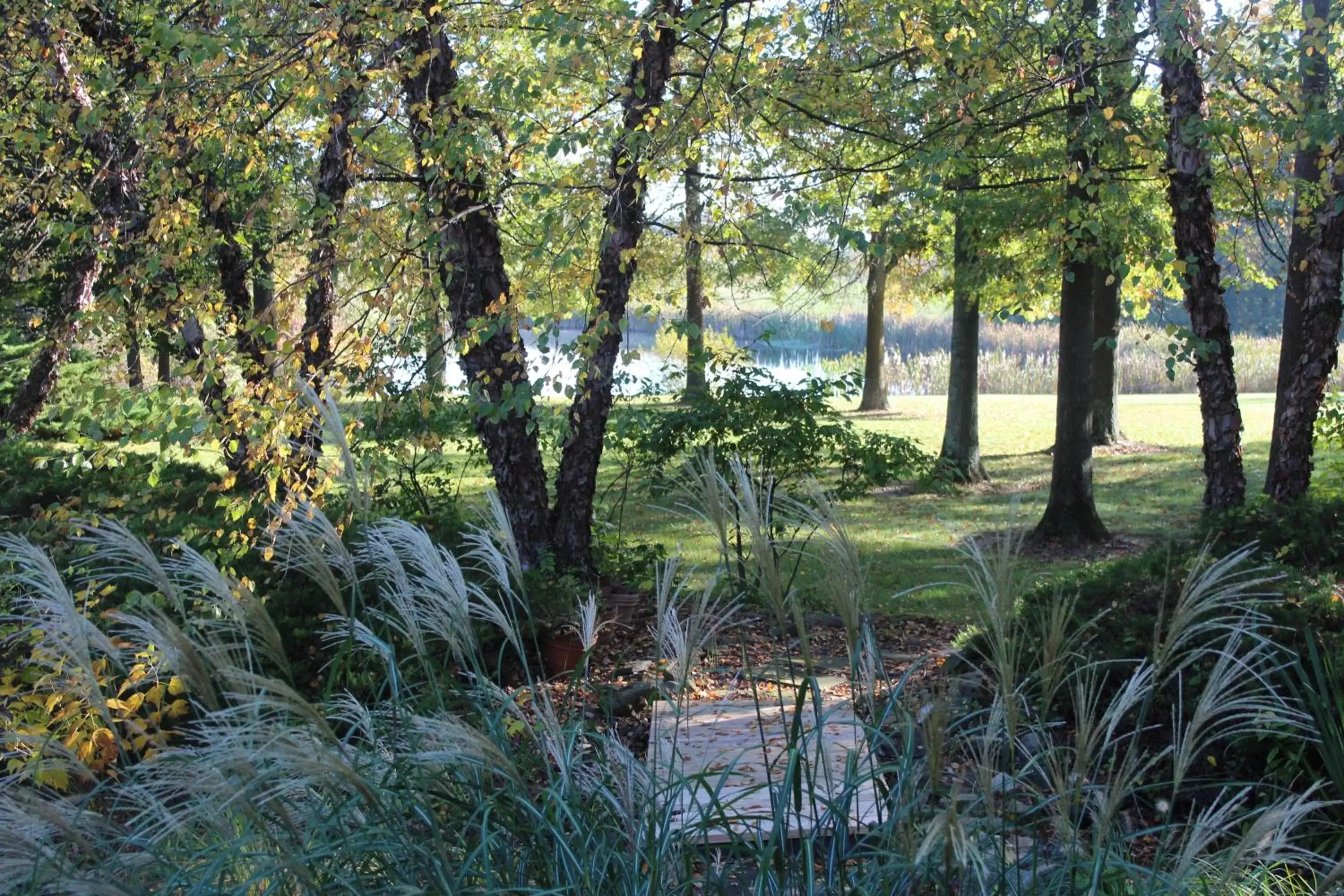 Natural landscape in The Inn at White Oak