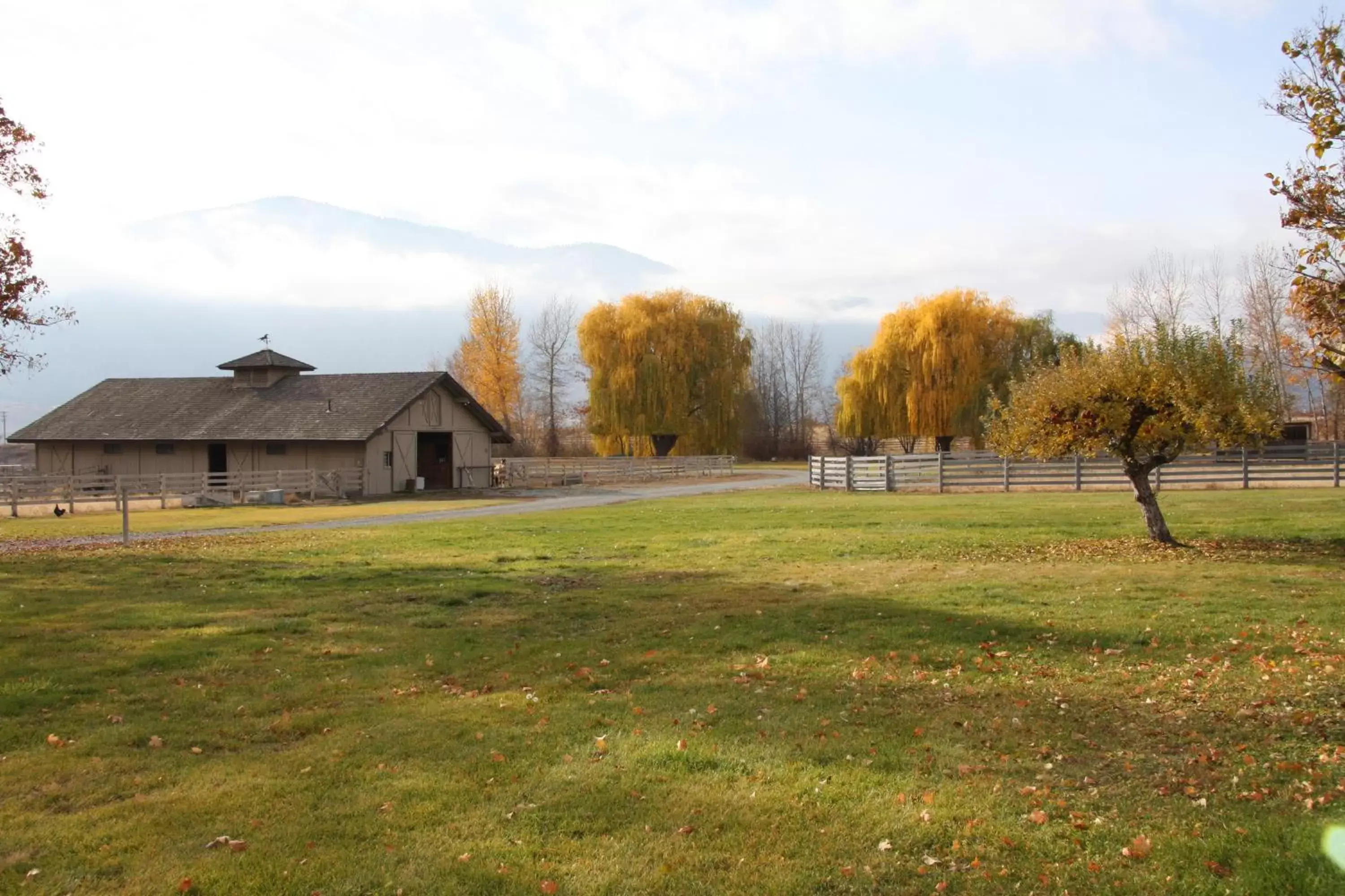 Horse-riding, Property Building in Casia Lodge and Ranch