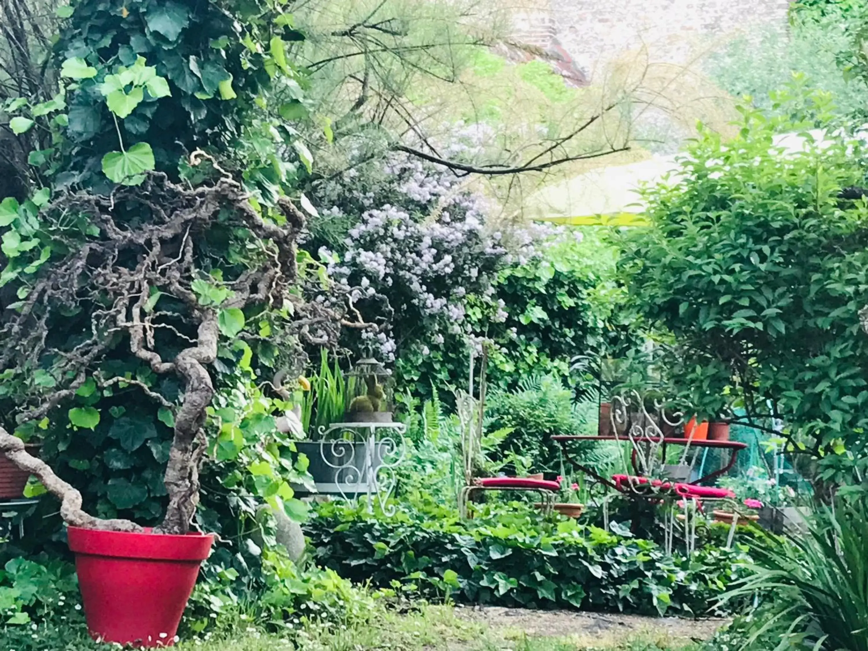 Garden in La Maison des Roses