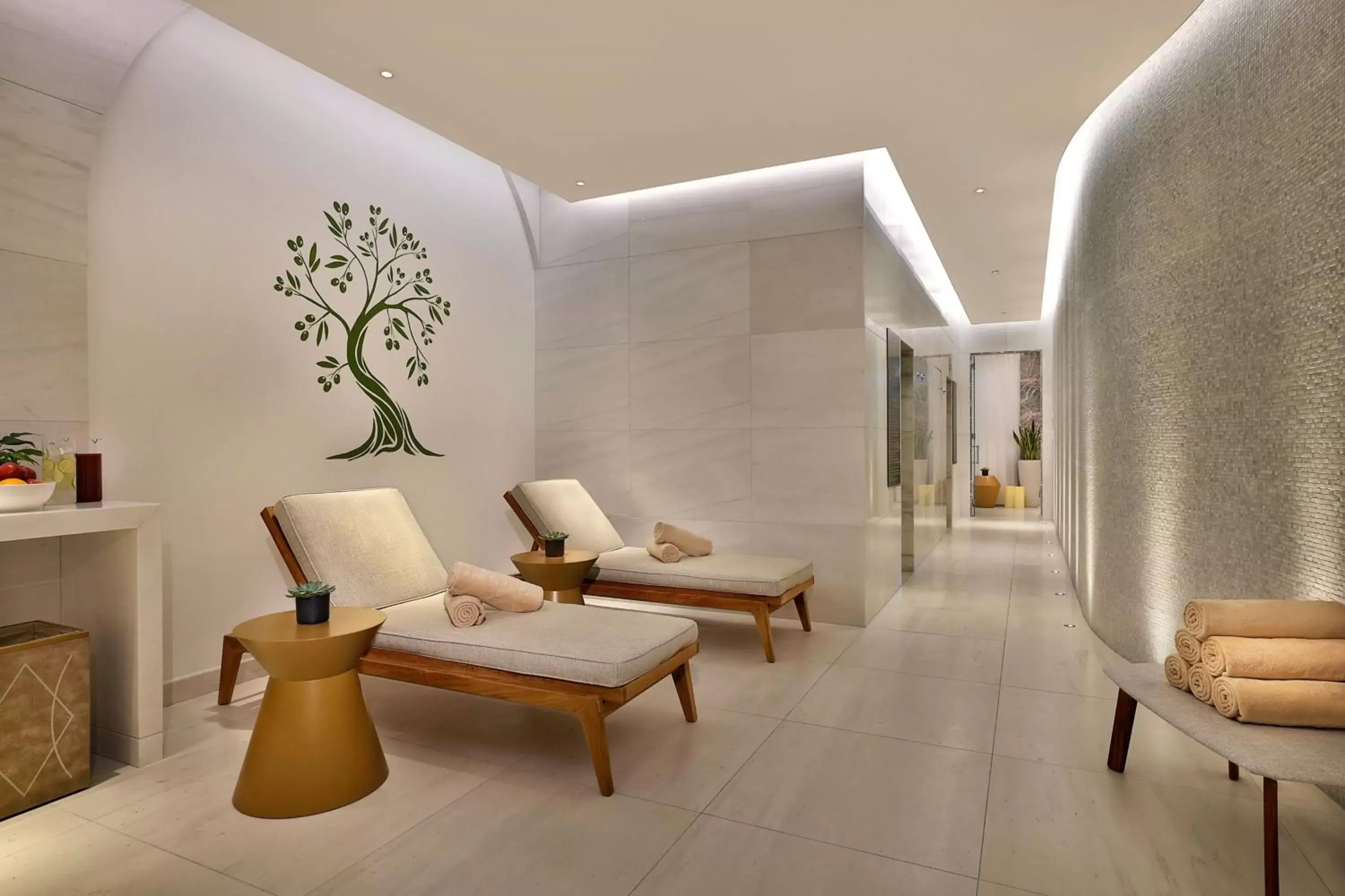 Spa and wellness centre/facilities, Seating Area in The Ritz-Carlton, Amman