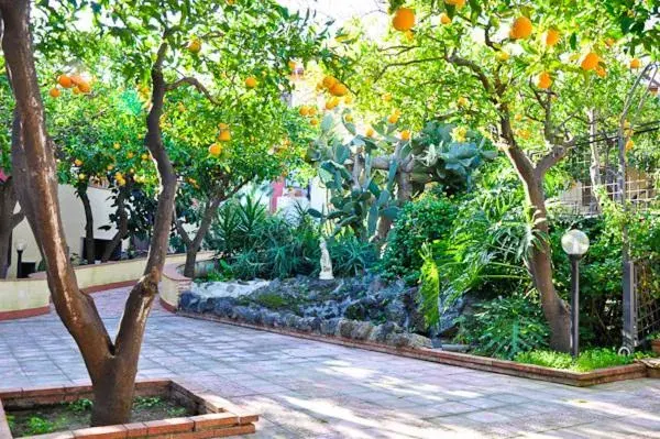 Garden in Ares Hotel