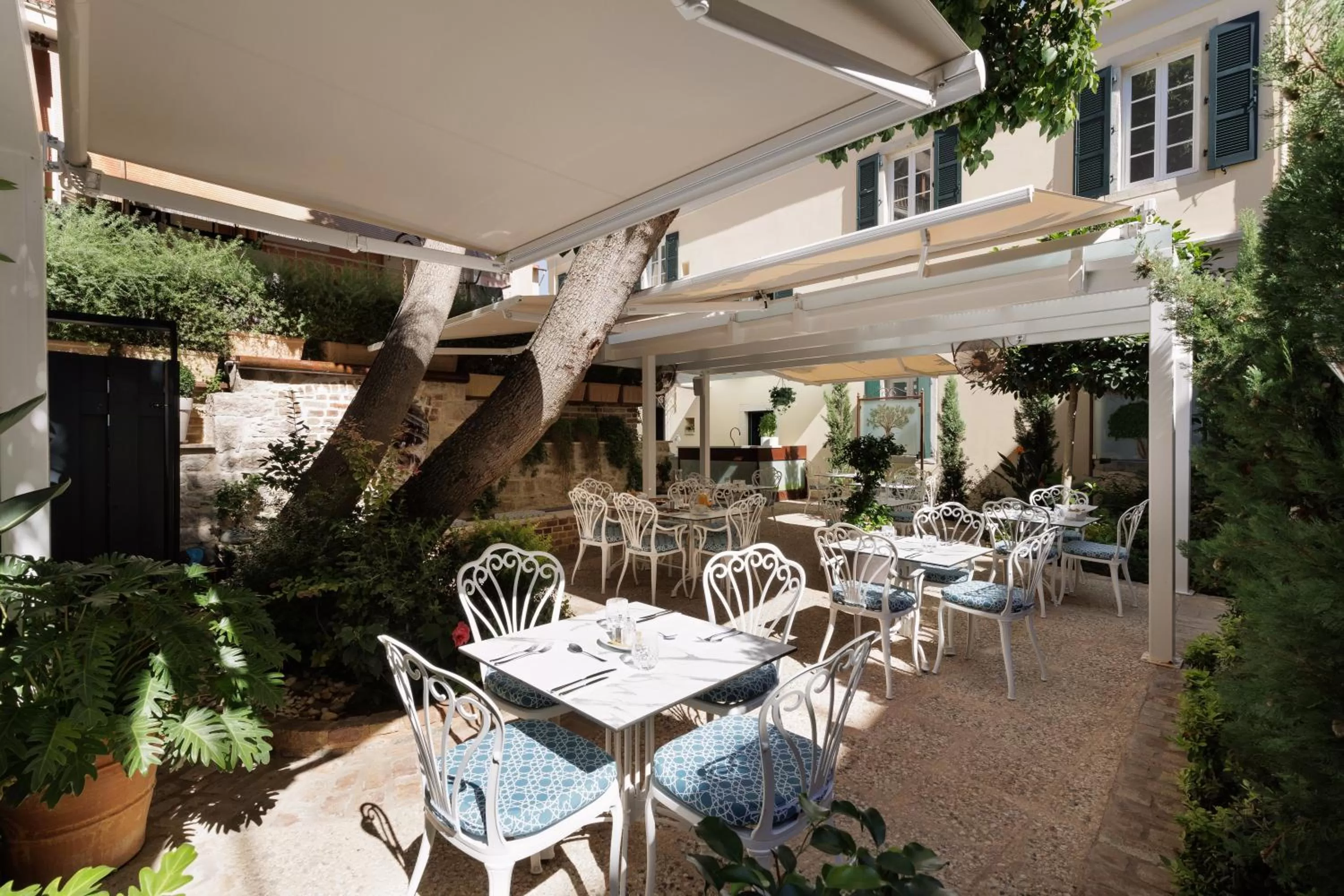 Restaurant/places to eat in Acanthus blue