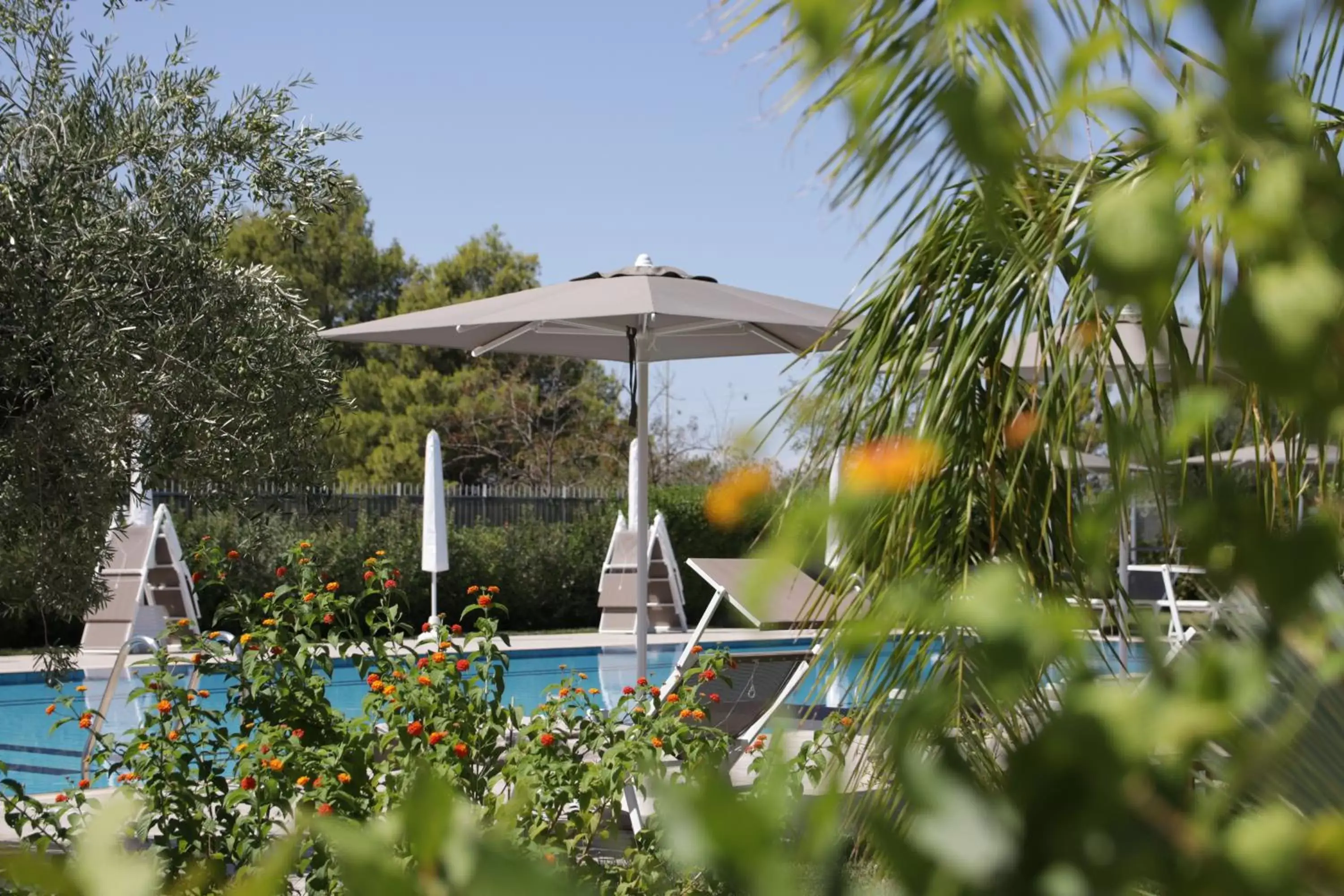 Garden view, Swimming Pool in SALAPIA SALIS RESORT