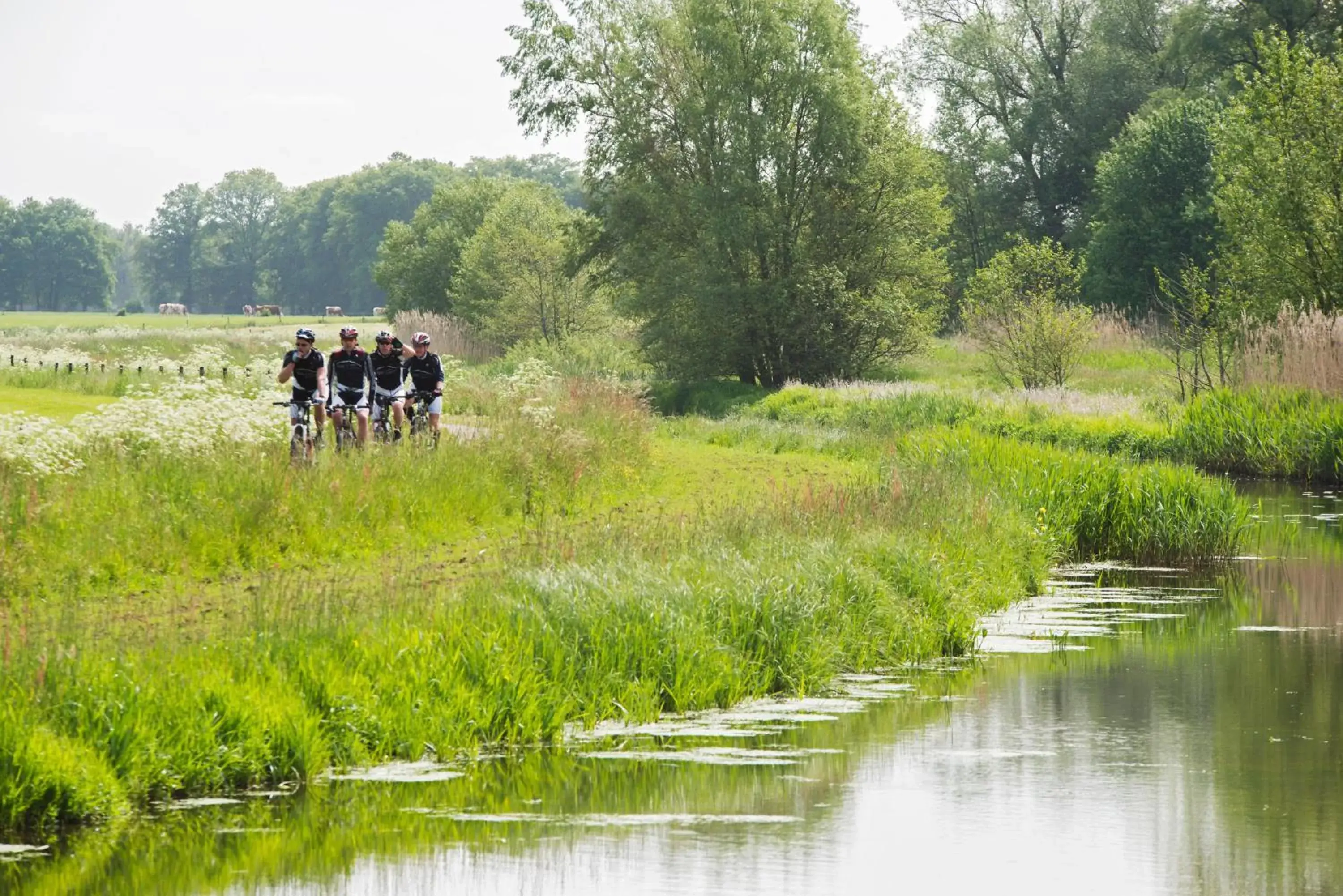 Natural landscape in Landgoedhotel Woodbrooke Barchem