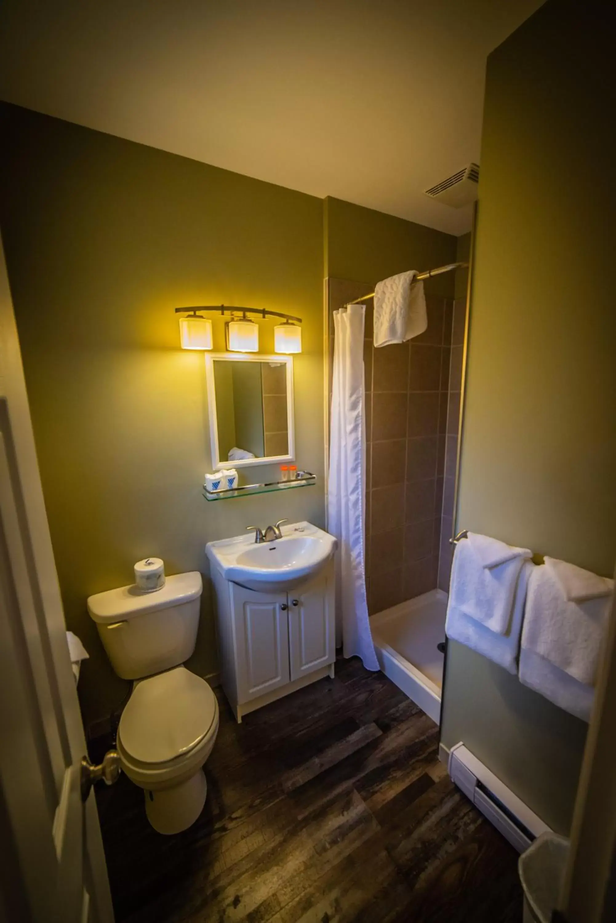 Bathroom in Alpine Inn & Suites