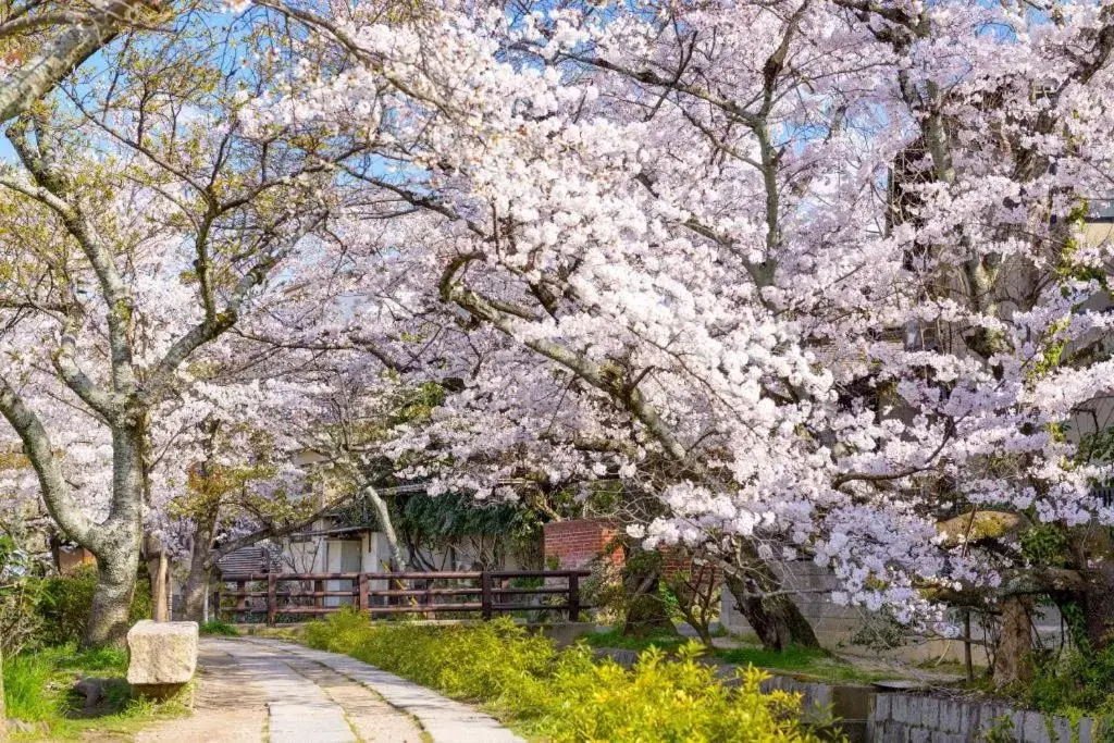 Natural landscape in SlowTime Hotel Kyoto