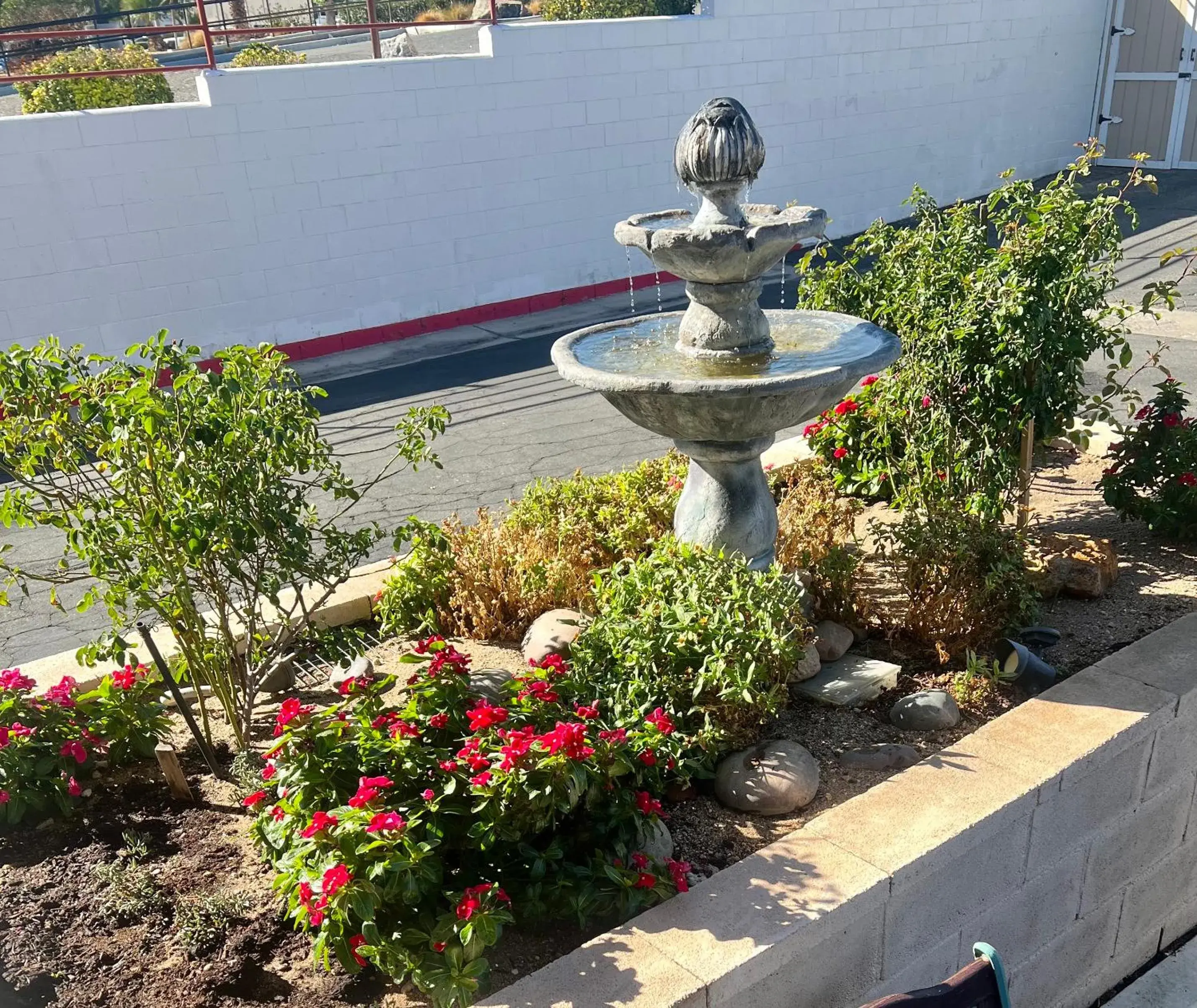 Garden view in Park Avenue Inn & Suites