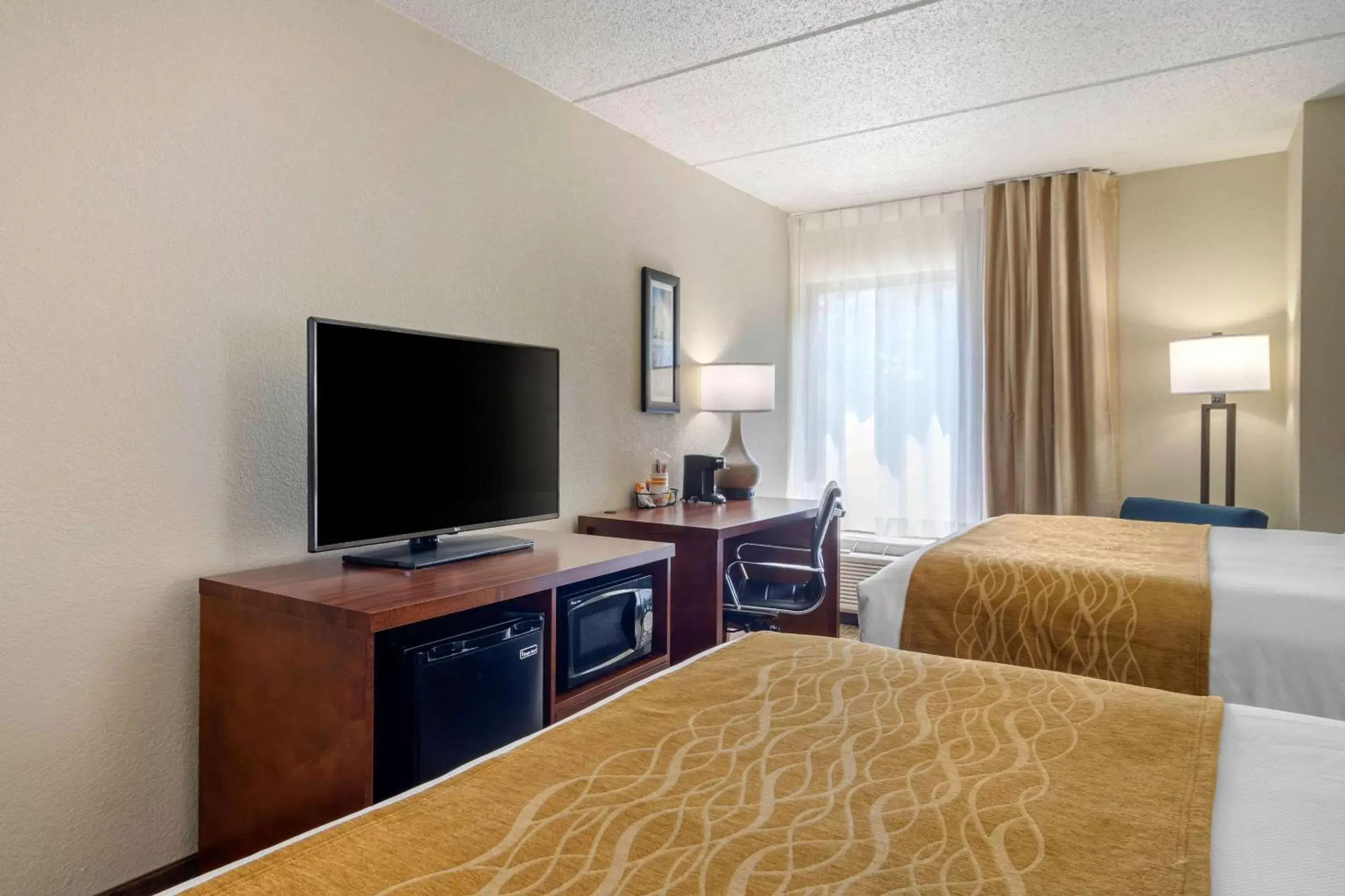 TV and multimedia, Bed in Comfort Inn Atlanta Airport