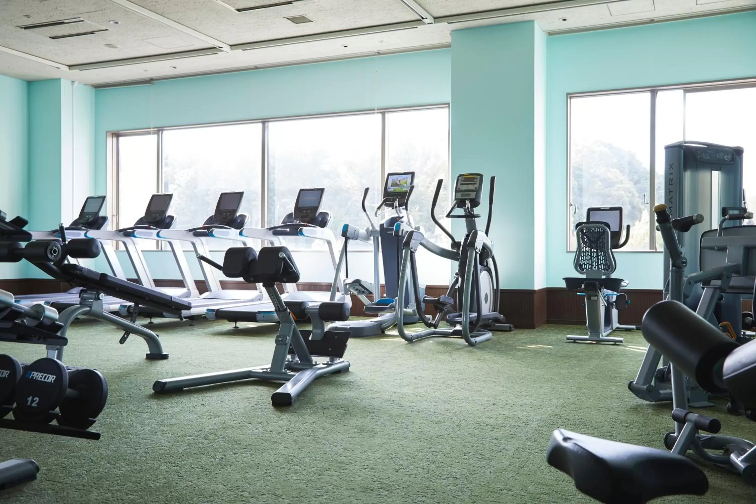 Fitness centre/facilities, Fitness Center/Facilities in HOTEL MYSTAYS PREMIER Narita