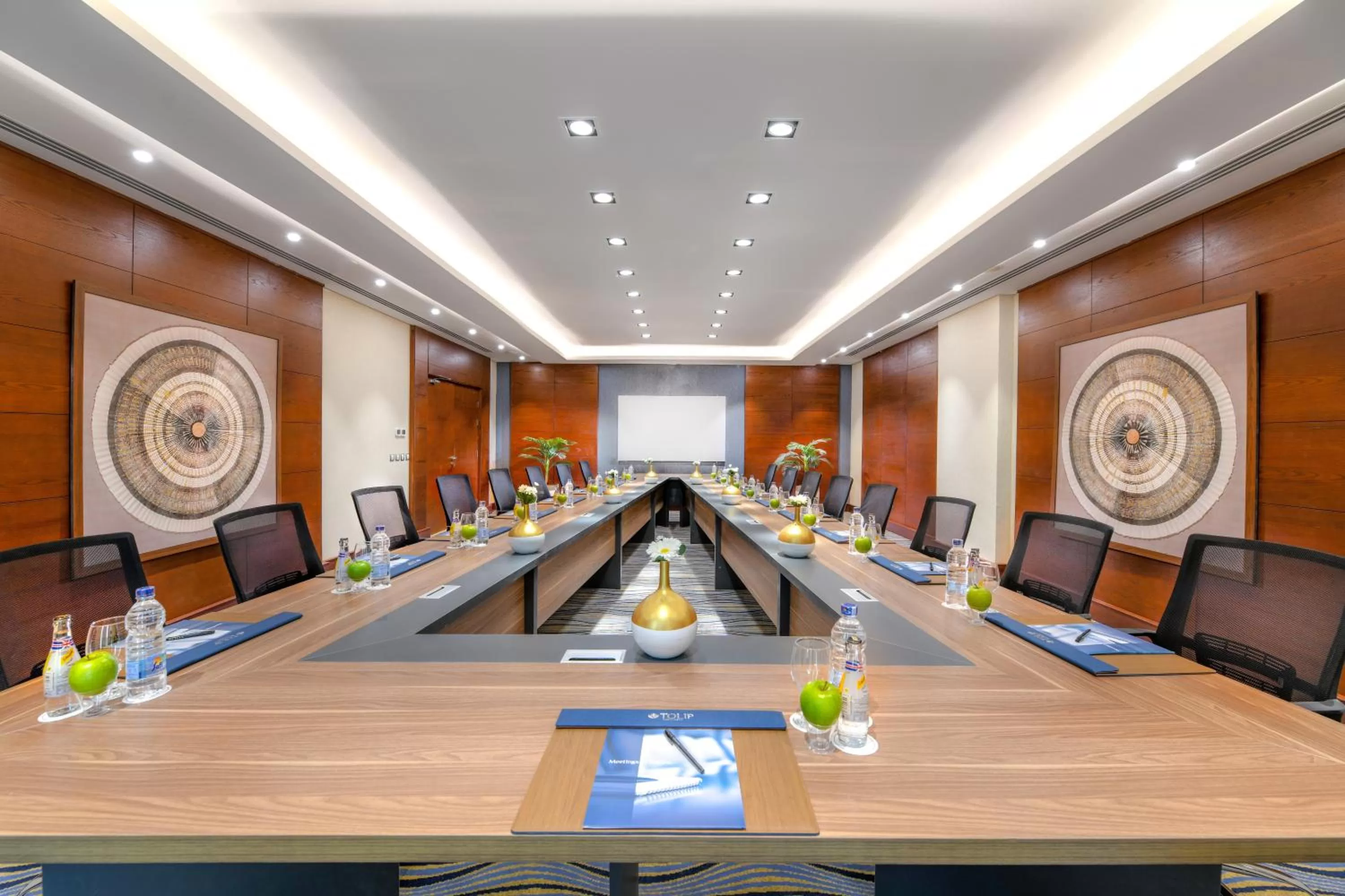 Business facilities in Tolip Resort El Galala Hills